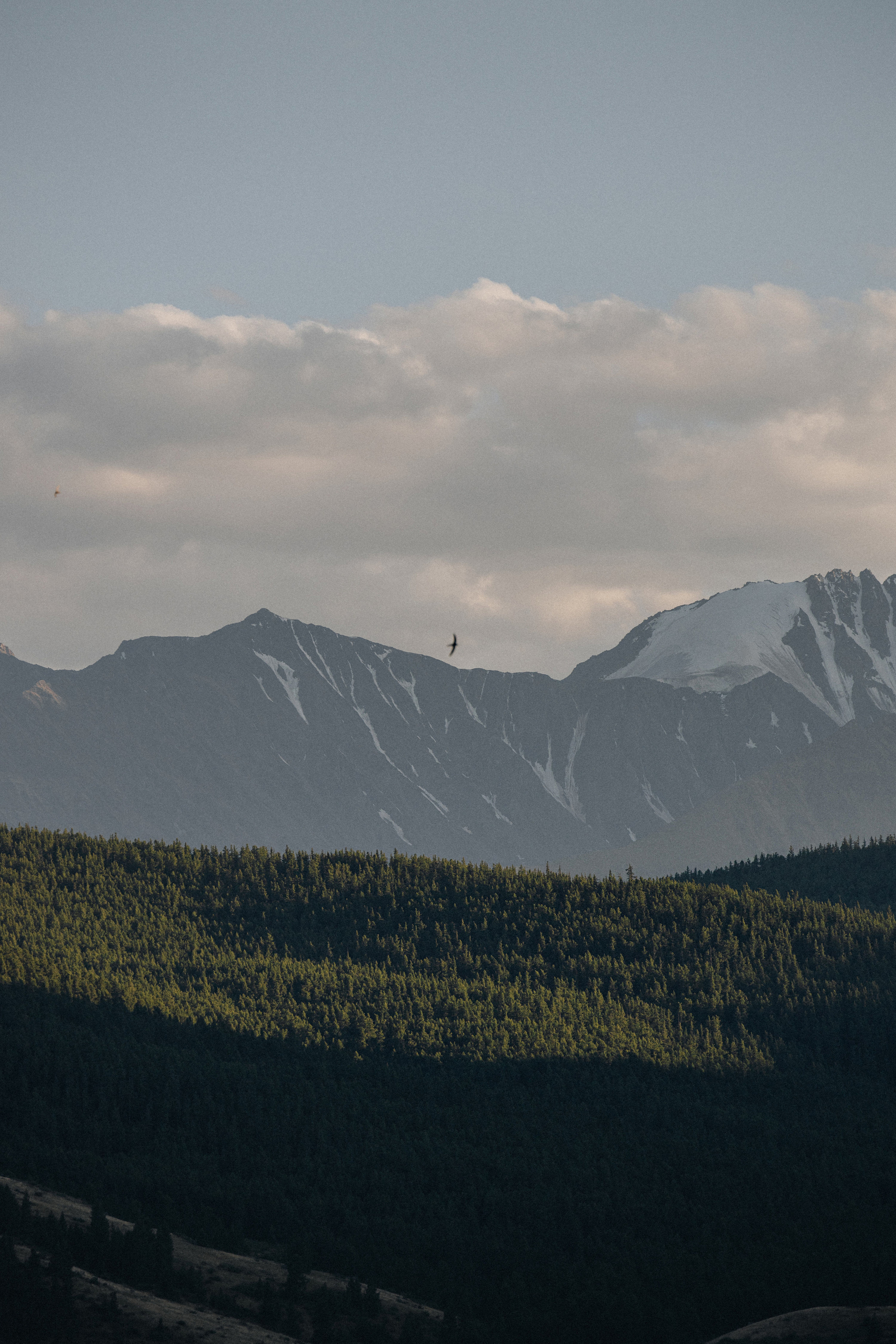 Mountain Elopement Wedding in Portland, Seattle, Bend & Oregon Coast | Kate & Igor | Georgy Shishkin Photography. Capturing Love in the Heart of the Pacific Northwes