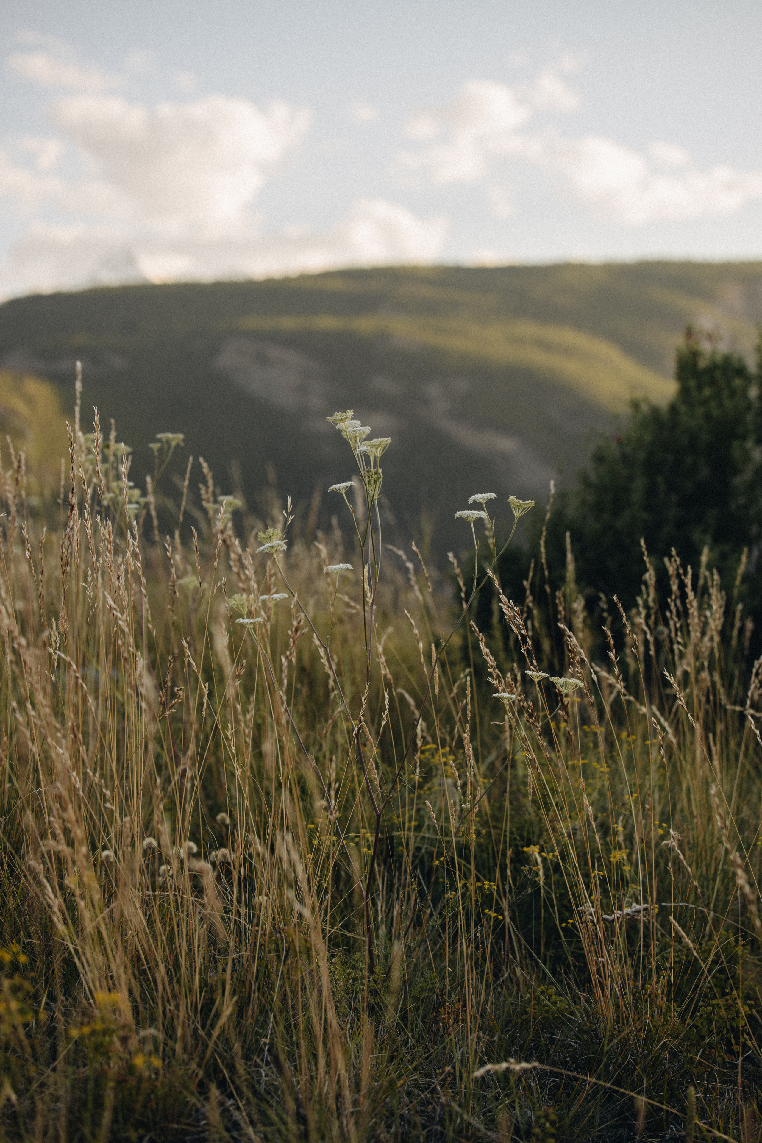 Mountain Elopement Wedding in Portland, Seattle, Bend & Oregon Coast | Kate & Igor | Georgy Shishkin Photography. Capturing Love in the Heart of the Pacific Northwes