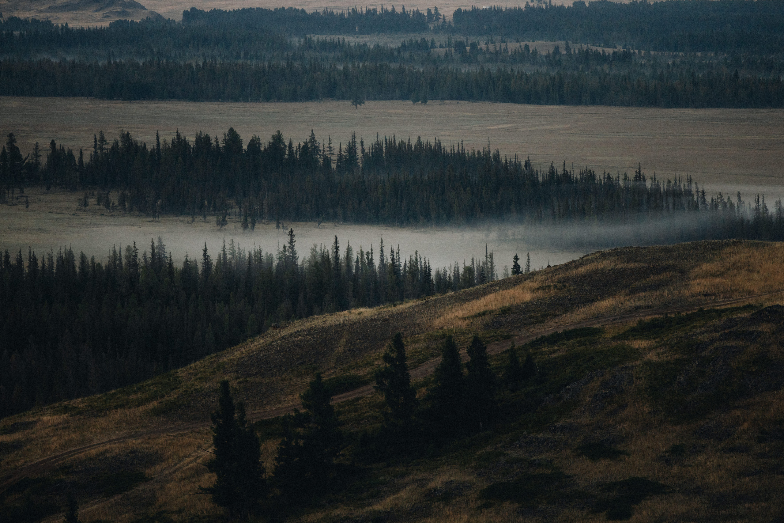 Mountain Elopement Wedding in Portland, Seattle, Bend & Oregon Coast | Kate & Igor | Georgy Shishkin Photography. Capturing Love in the Heart of the Pacific Northwes