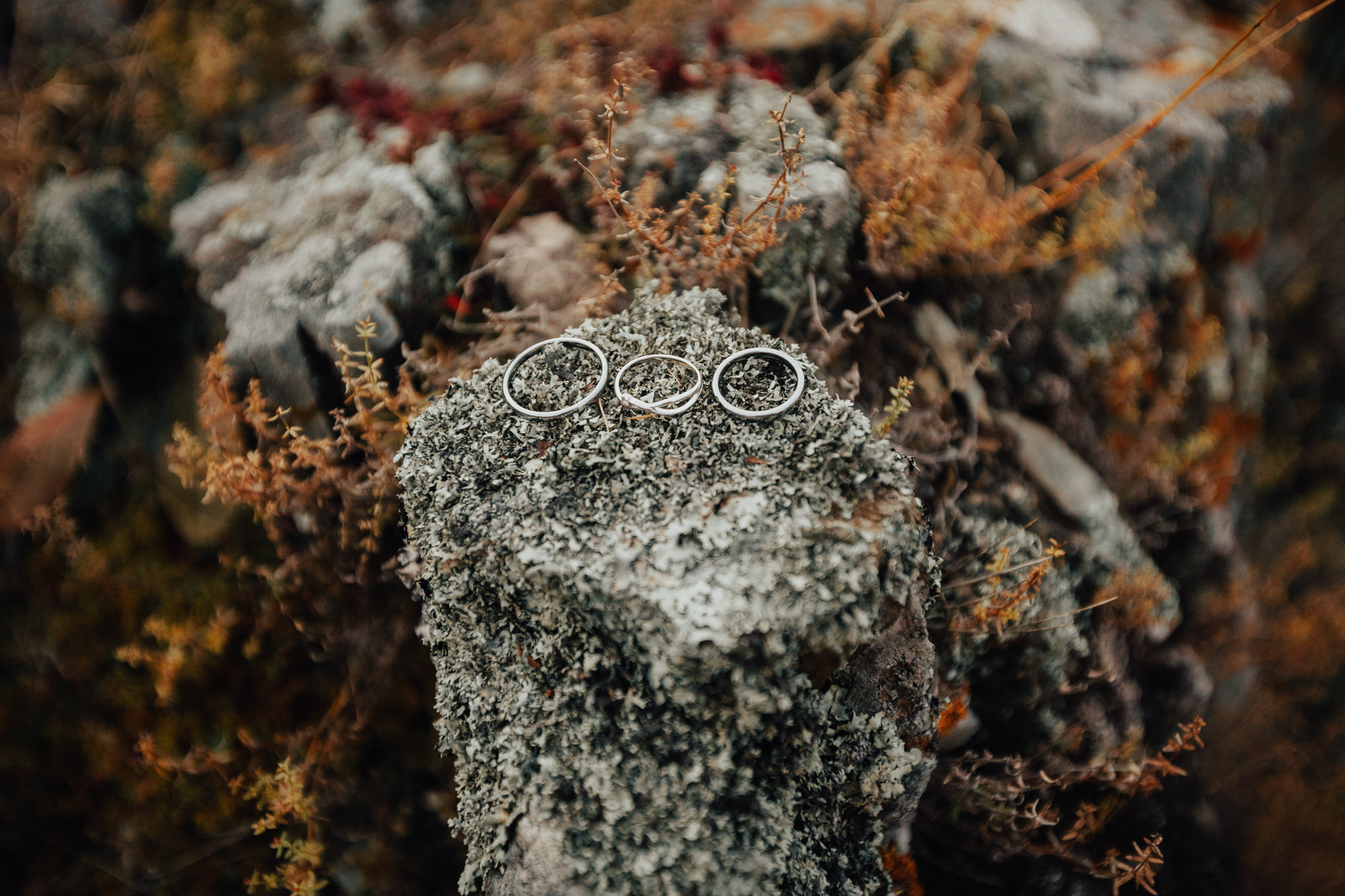 Alex & Olga’s Mountain Elopement | Wedding Photography by Georgy Shishkin  in Portland, Seattle, Bend & Oregon Coast. Capturing Love in the Heart of the Pacific Northwes