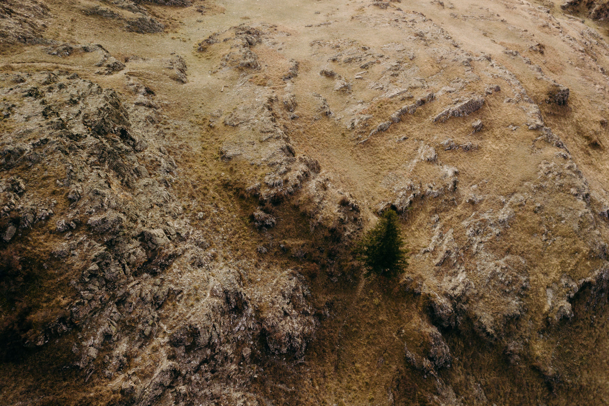 Alex & Olga’s Mountain Elopement | Wedding Photography by Georgy Shishkin  in Portland, Seattle, Bend & Oregon Coast. Capturing Love in the Heart of the Pacific Northwes