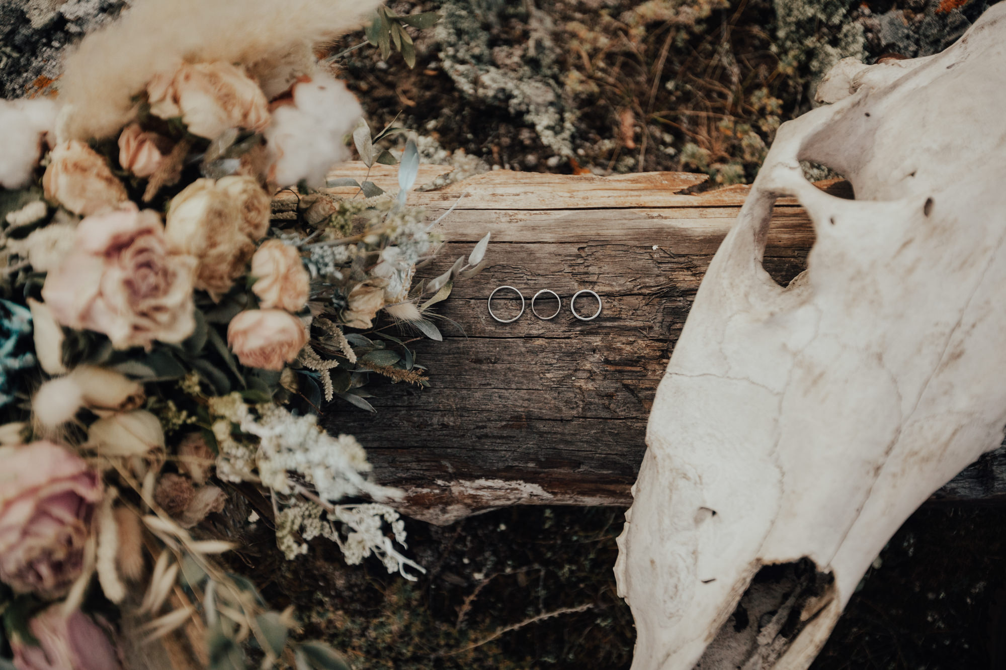 Alex & Olga’s Mountain Elopement | Wedding Photography by Georgy Shishkin  in Portland, Seattle, Bend & Oregon Coast. Capturing Love in the Heart of the Pacific Northwes