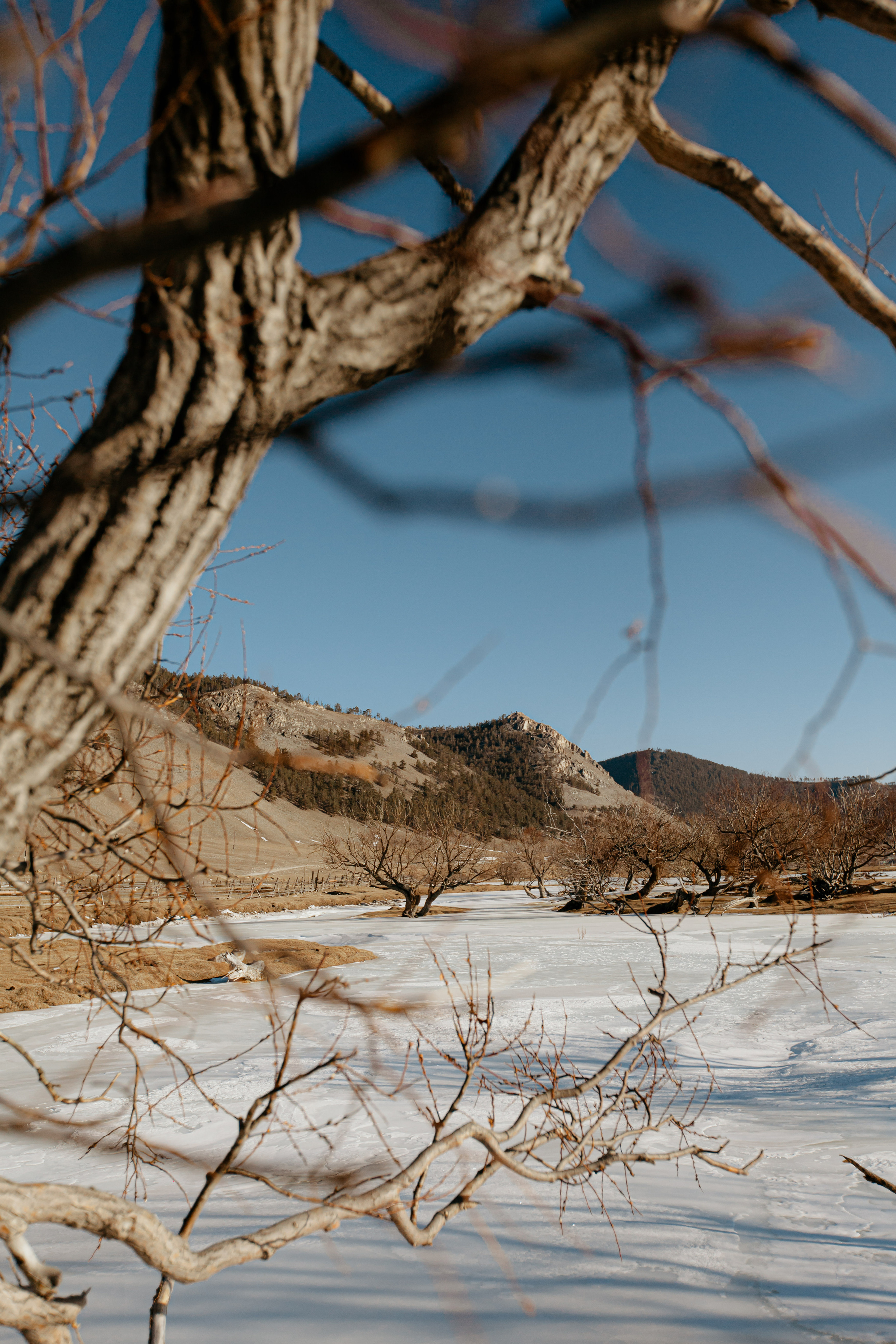 Portland, Seattle, Bend & Oregon Coast Elopement Photography | Julia & Andrew's Winter Lake Elopement by Georgy Shishkin. Capturing Love in the Heart of the Pacific Northwes