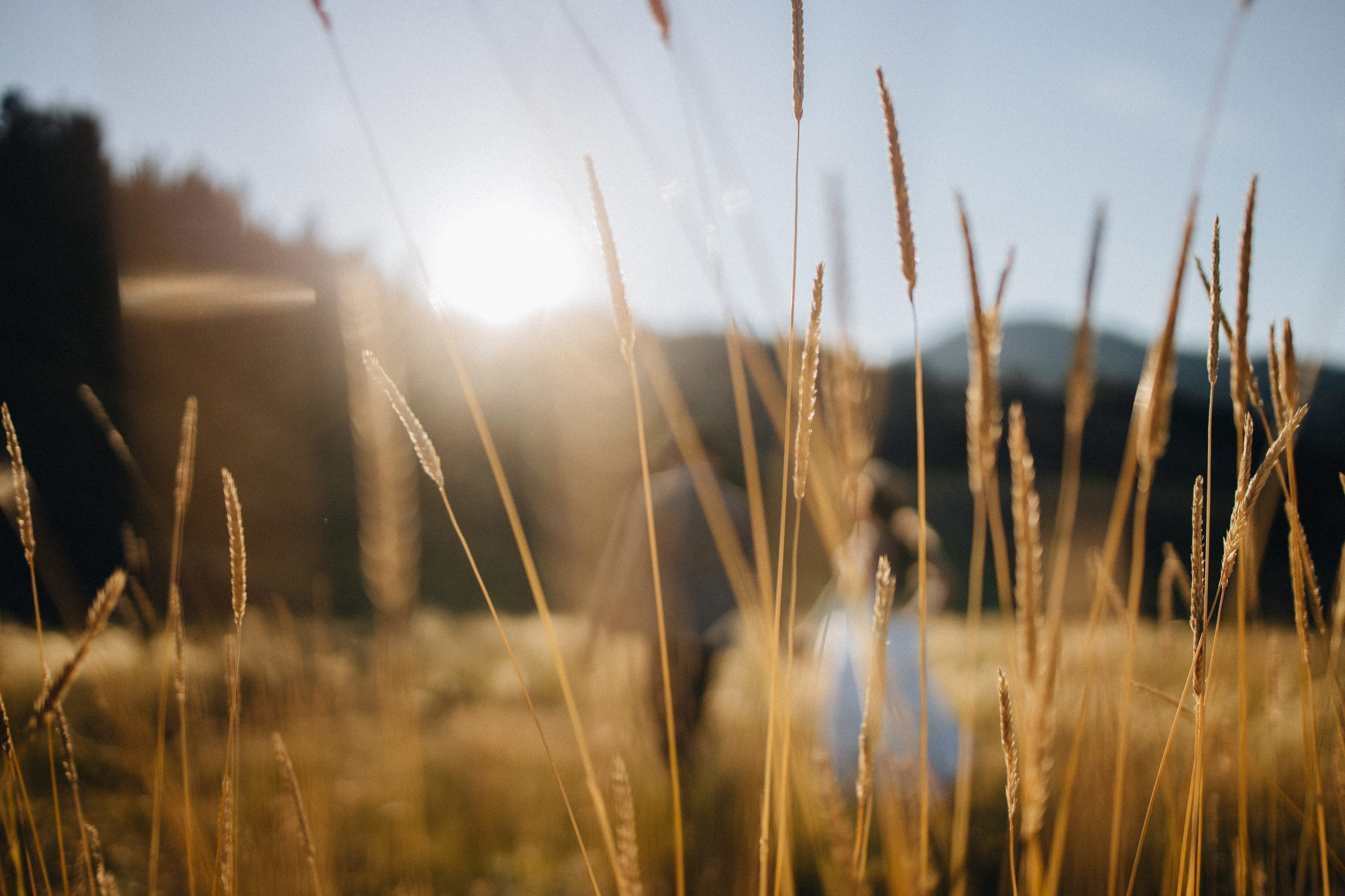 Mountain Elopement Wedding in Portland, Seattle, Bend & Oregon Coast | Kate & Igor | Georgy Shishkin Photography. Capturing Love in the Heart of the Pacific Northwes