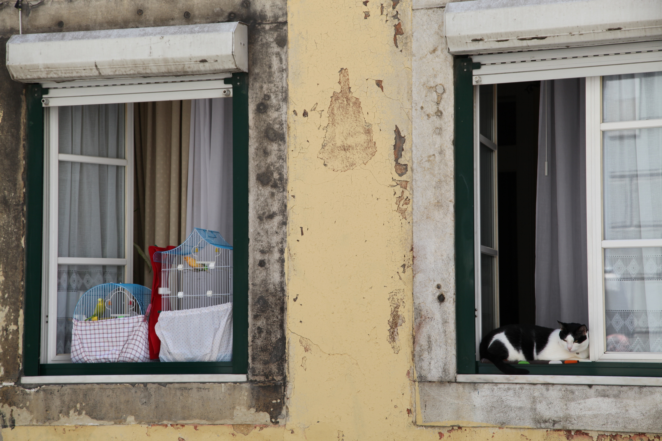 Le Portugal: Un Premier Voyage Mémorable en Couple. Photographe de mariage à Toulouse