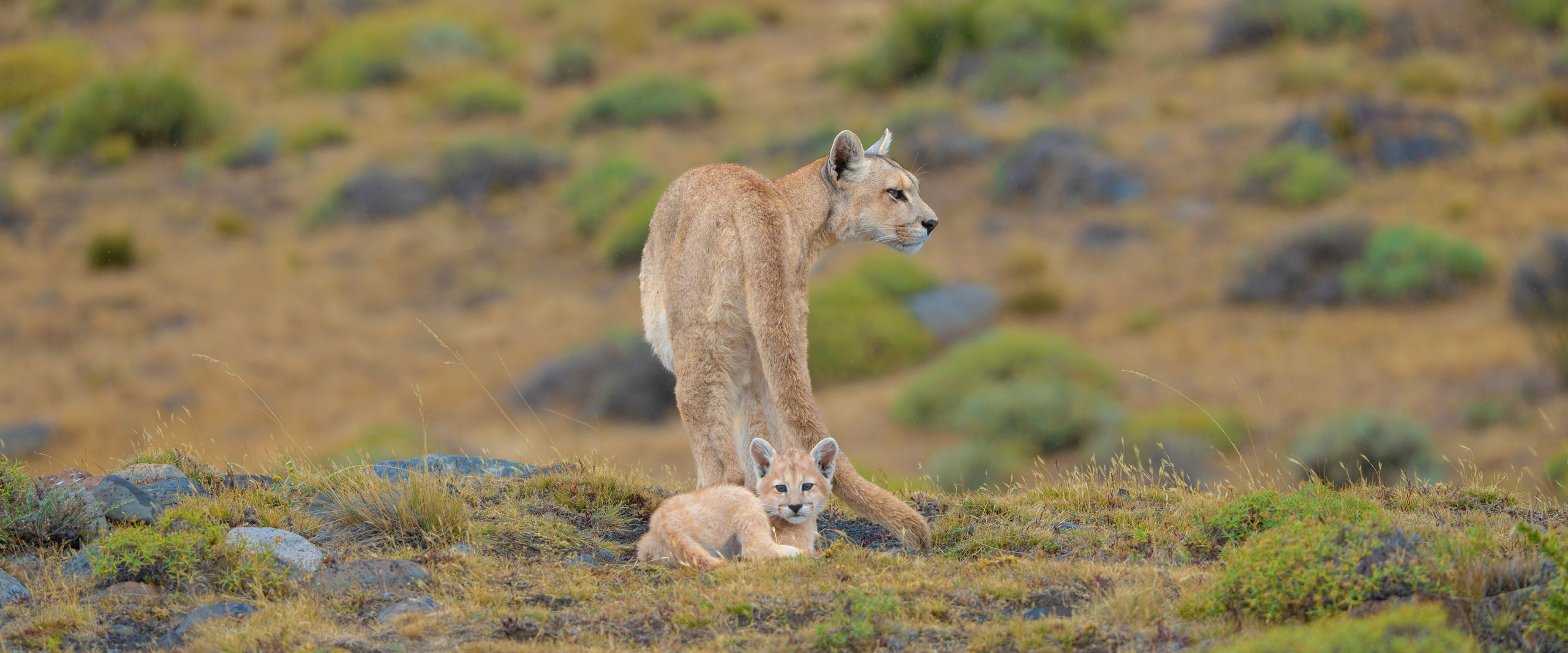 Nature photographer Yuri Soria-Galvarro