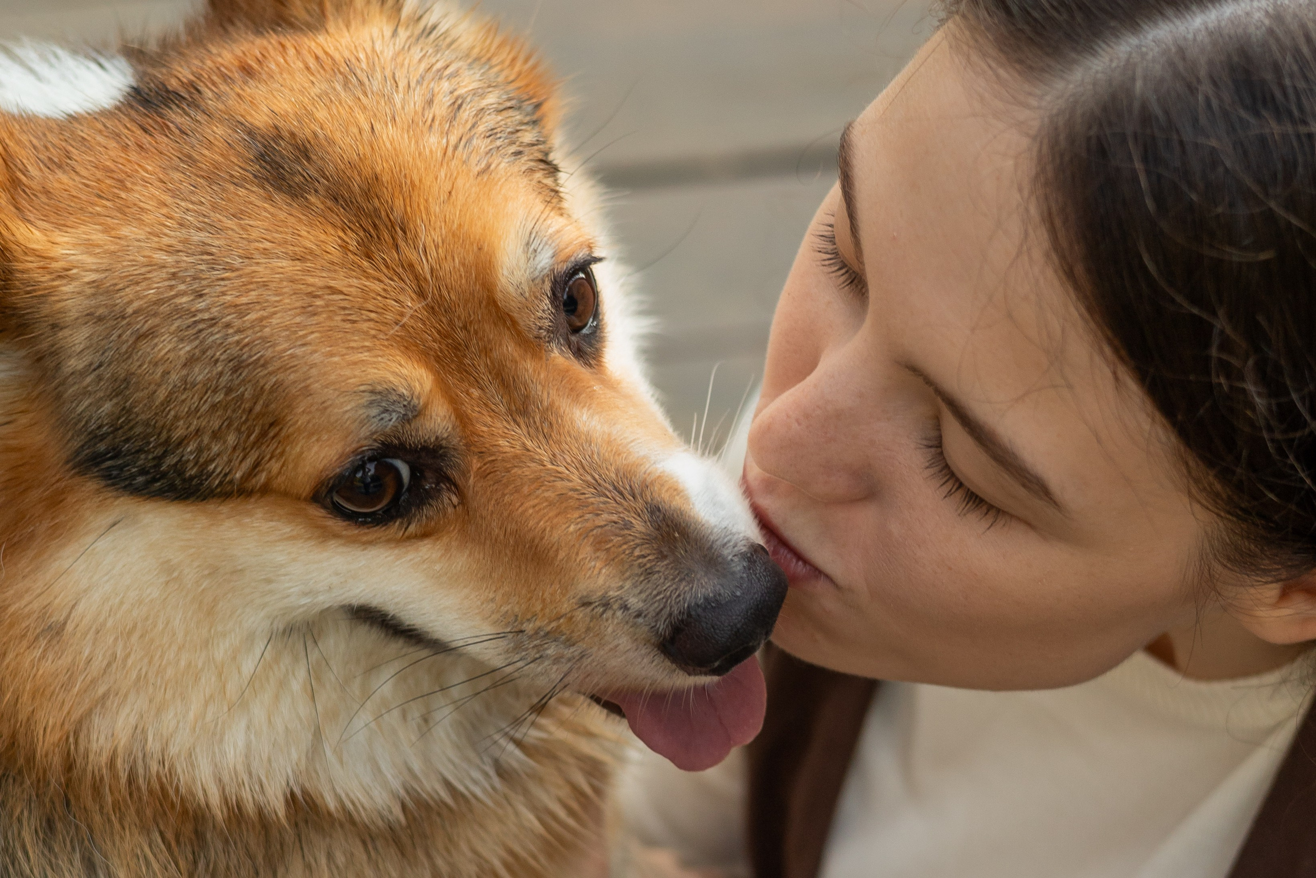 Фотограф-анималист | Белград