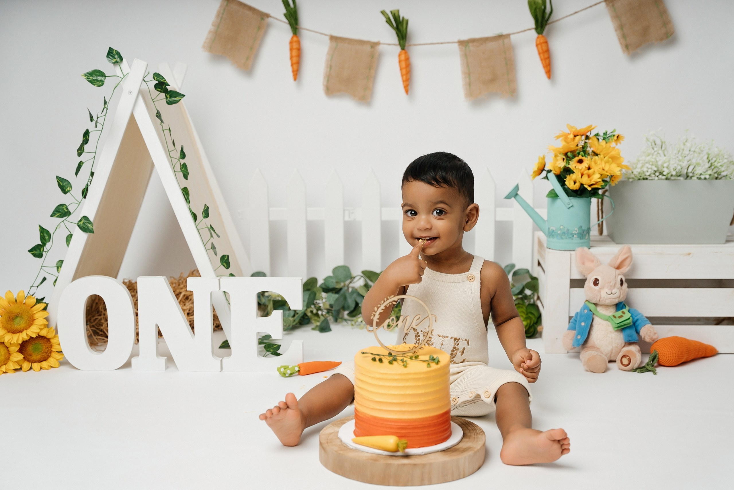 Peter rabbit cake smash session. Newborn and family photographer. Hills District. Sydney