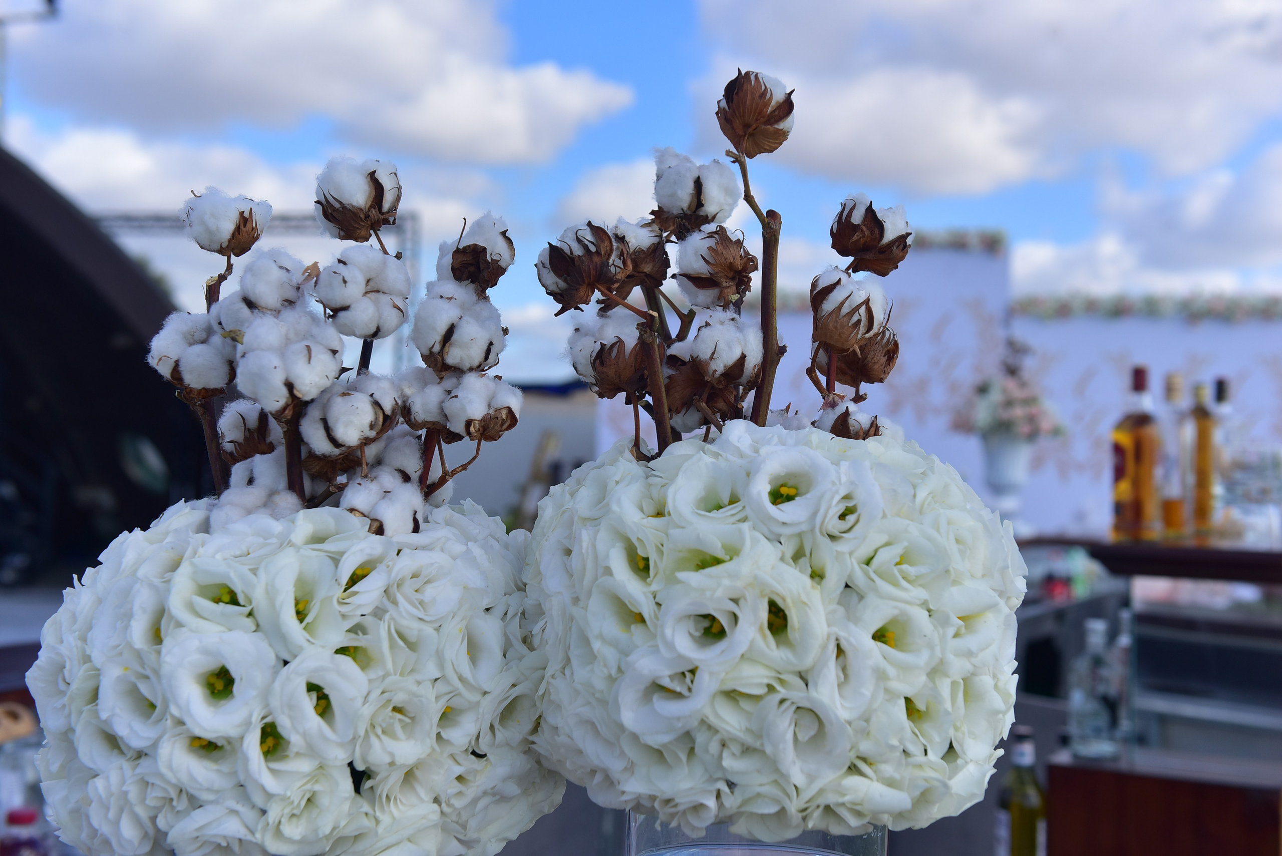 Ashley & Samuel. Wedding and events photographers Studio Shalom