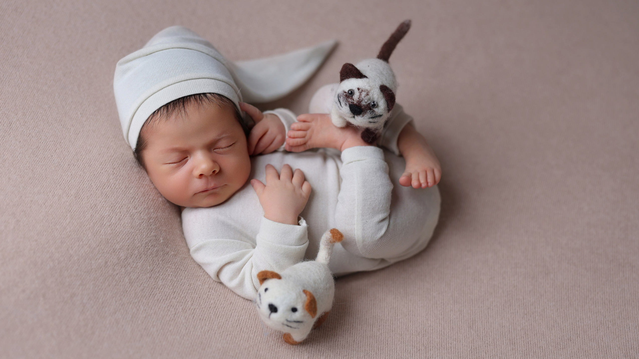 Новонароджені. Фотостудія Mozaik. 2 зали: Інтер’єр та Циклорама. Дніпро