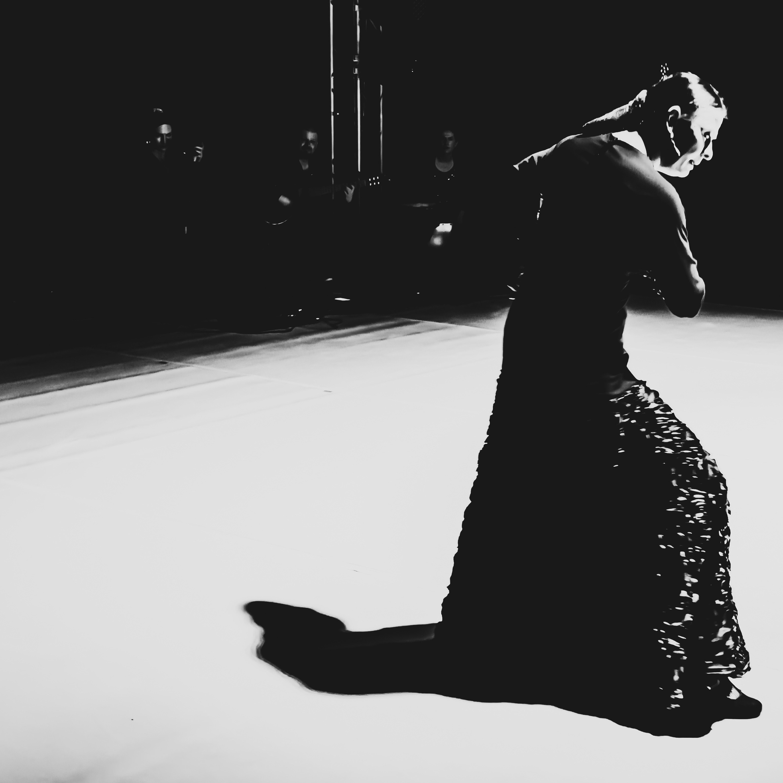 Flamenco rhythm. Dedicated to Olga Samoylova and the art of flamenco in general. Ekaterina Tsurkina-Appina Photography Canada