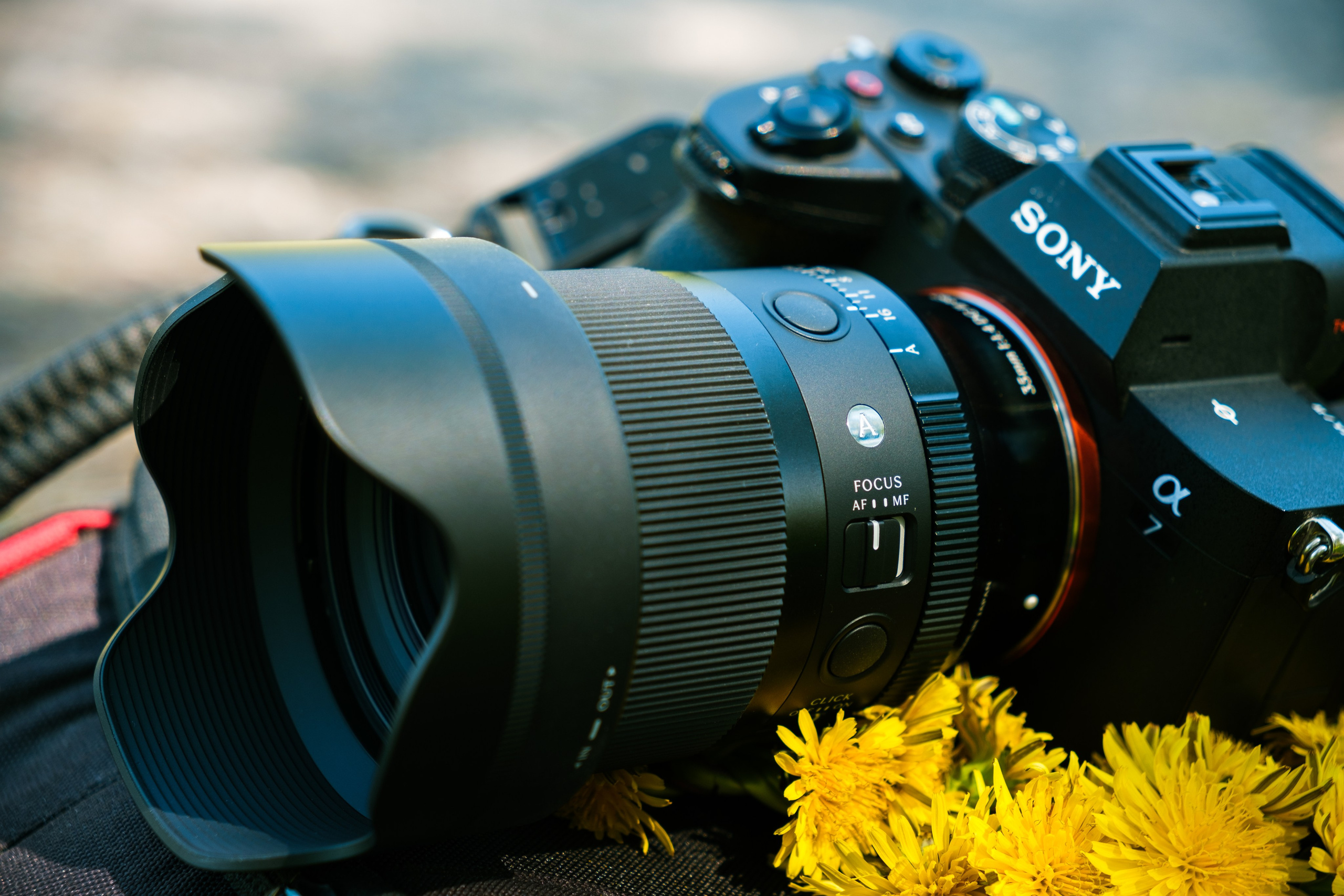 Вторая версия объектива Sigma 35 mm F1.4 DG Art. Обзор и опыт использования. Фотограф Григорий Кравец