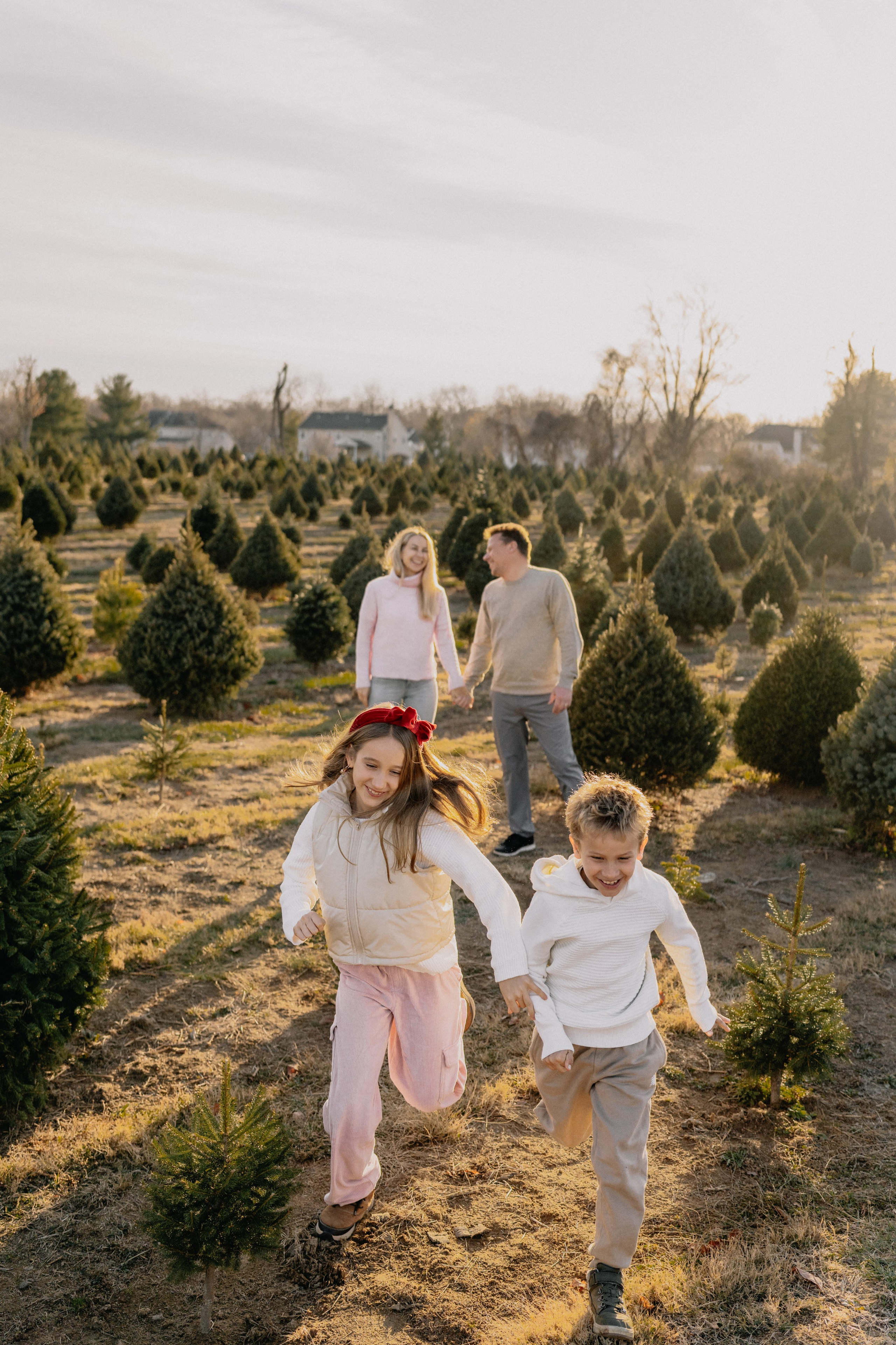 Christmas Farm Family Photoshoot – Magical Holiday Memories. Alisa Tant — Family and newborn photographer Bucks County, Montgomery county, Philadelphia, NJ