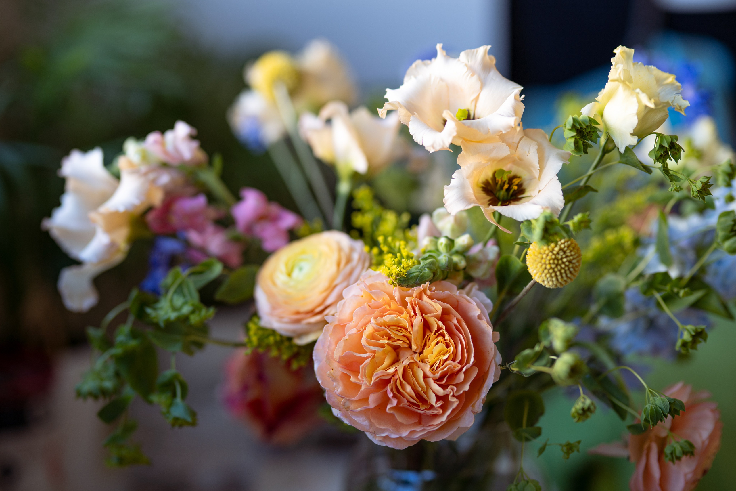 Flowers. Photographer in Madrid, Spain. Alyona Belyaninova