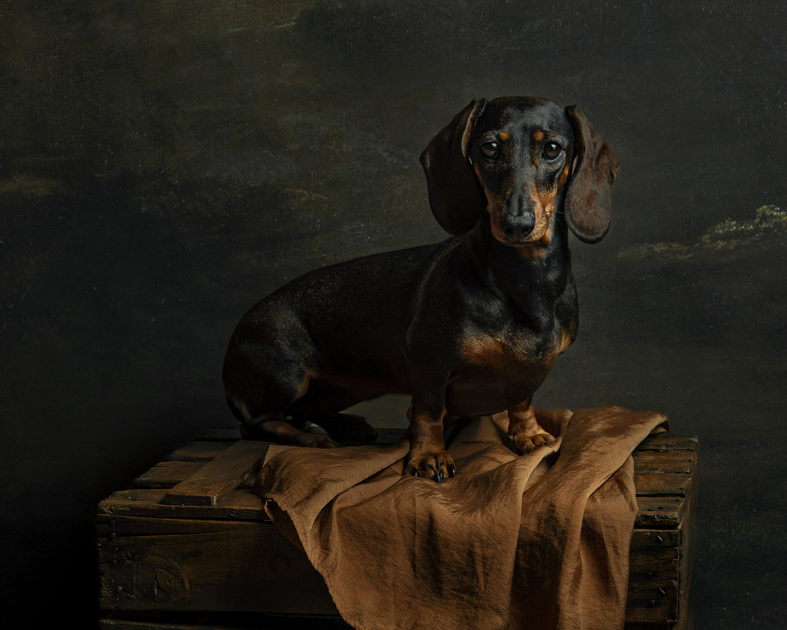 Sesiones. DIANA TRILLO_PHOTOGRAPHY