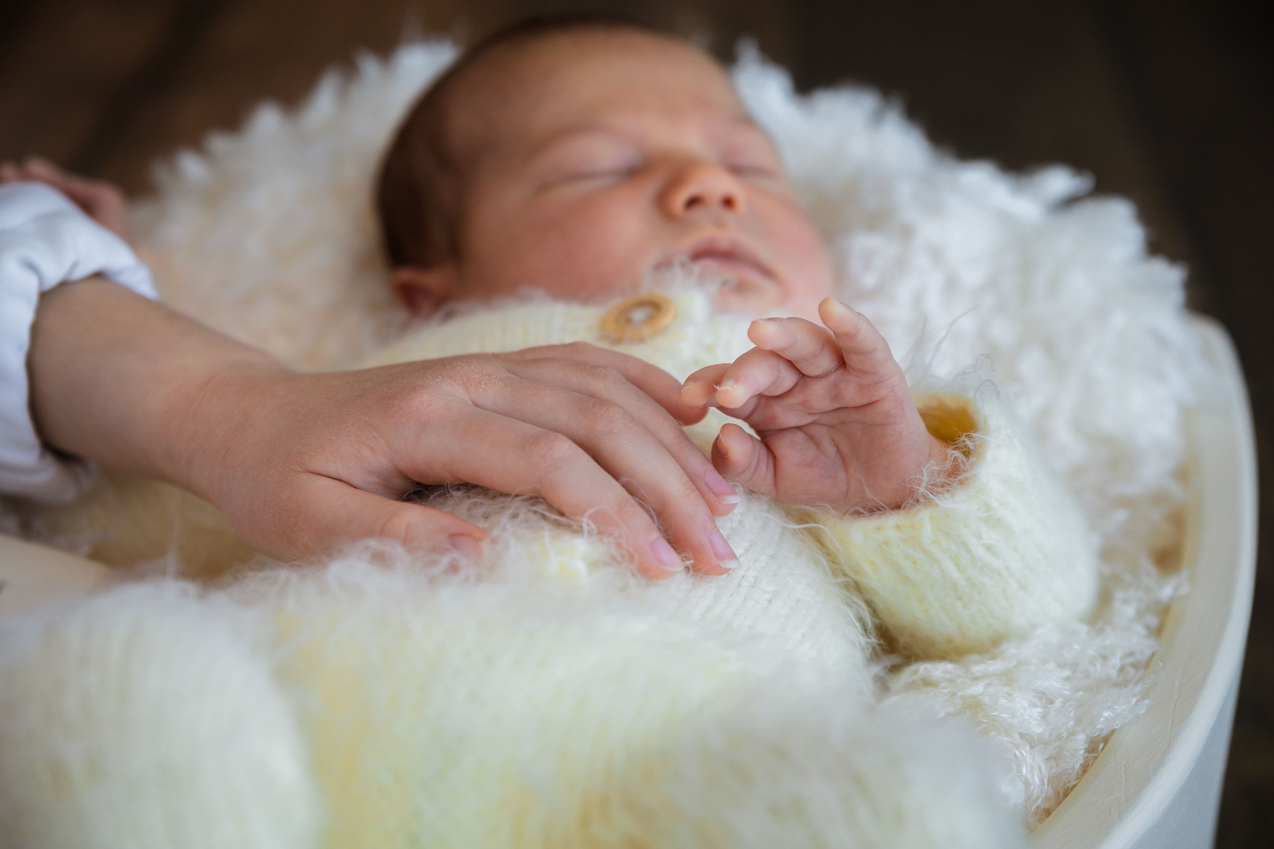 НОВОРОЖДЕННЫЕ