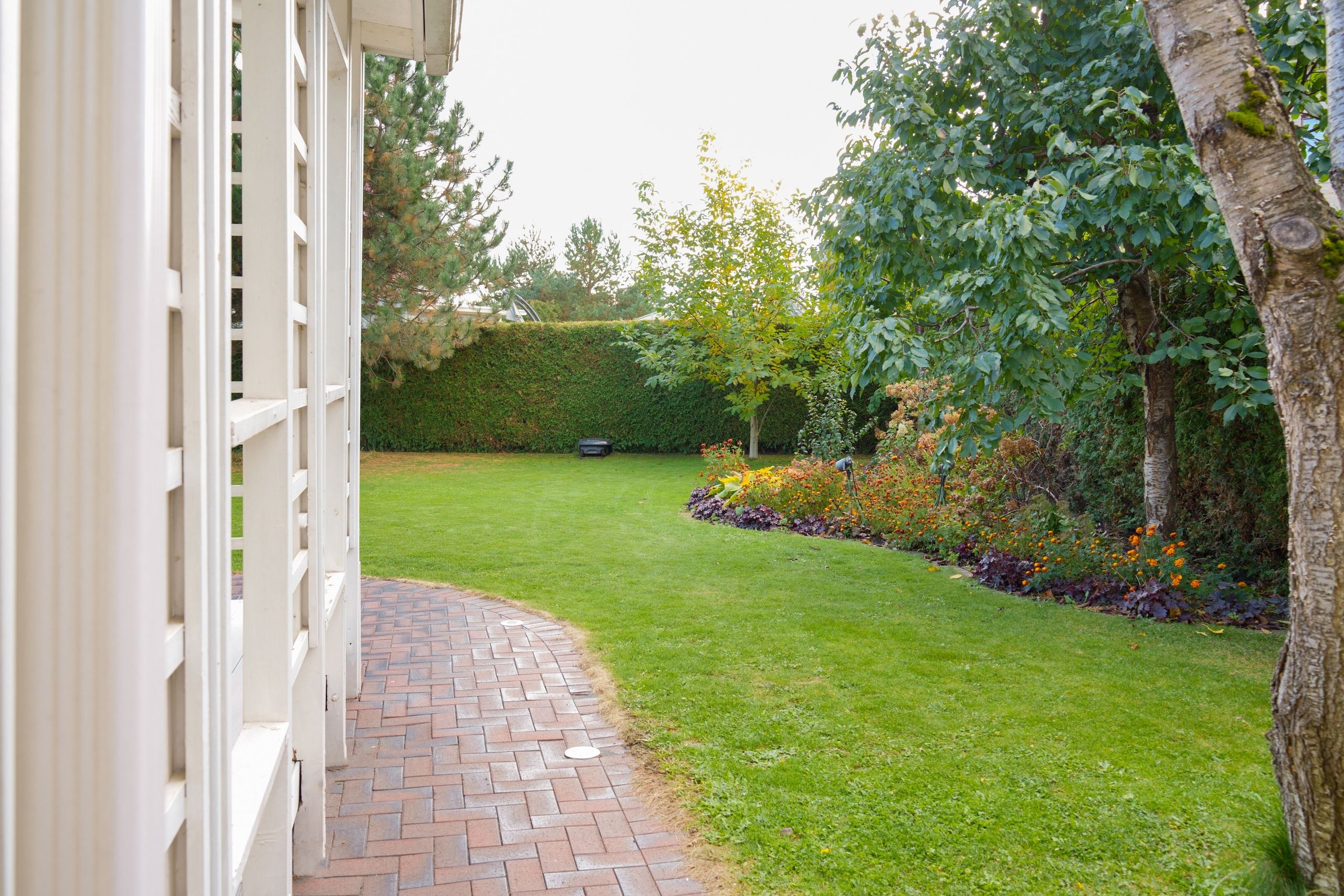 Ežerėlio g. 10. Elina Sapiega fotografė Vilniuje