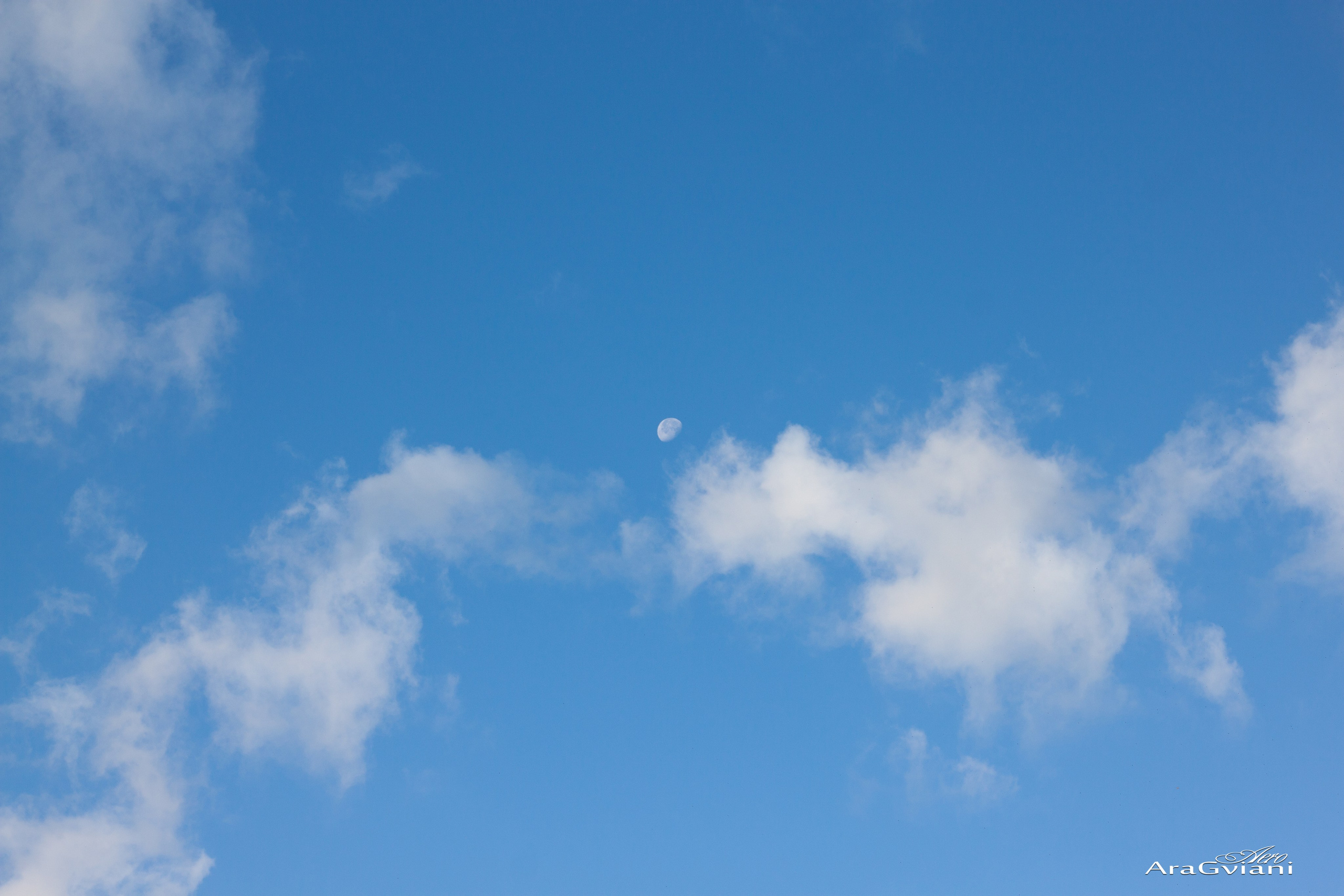 ჰიპოველოს შემოდგომის ველოტური წვერში. FramefreeMan