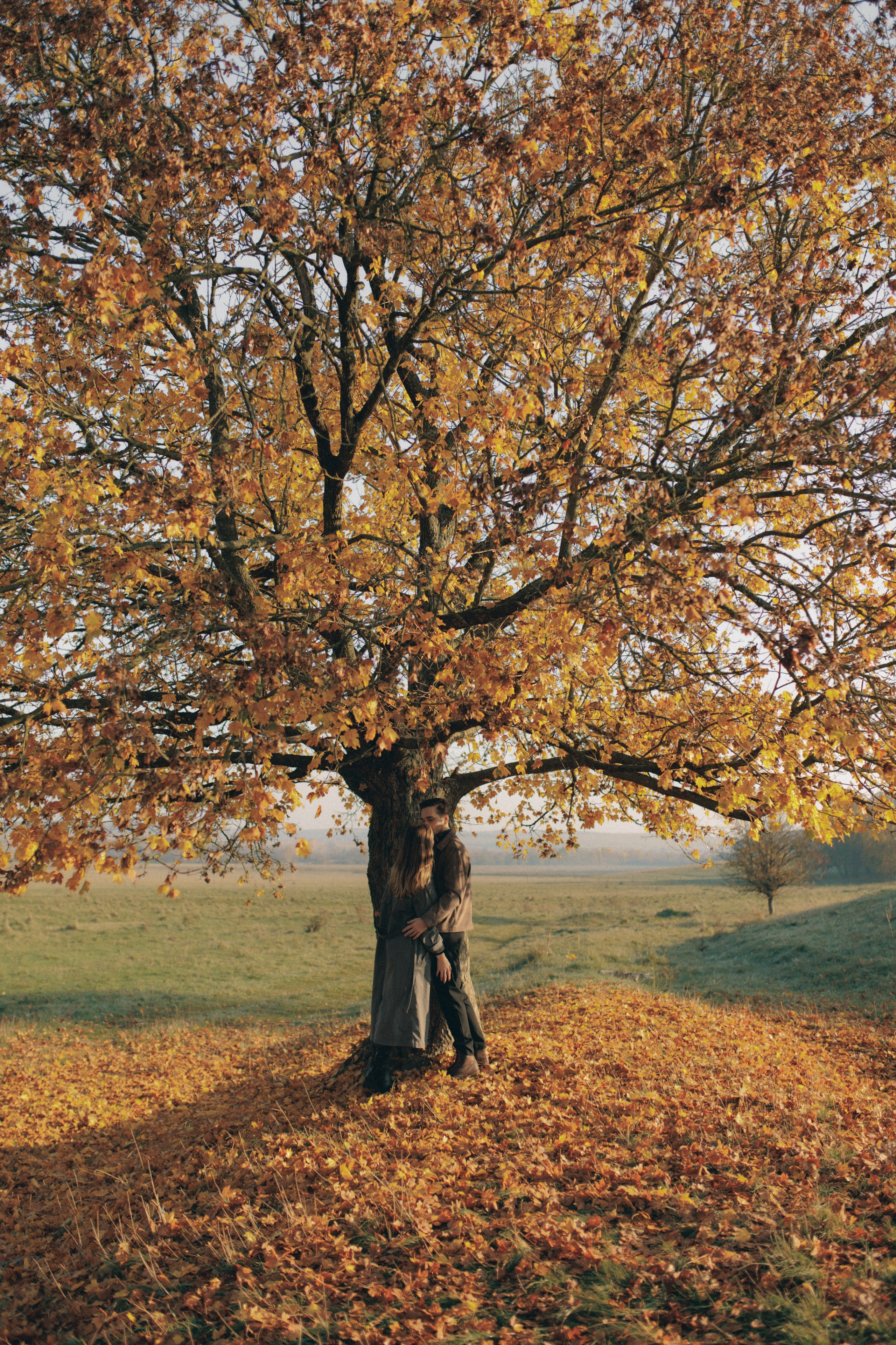 An autumn lovestory. Wedding photographer and videographer based in Timisoara, Romania