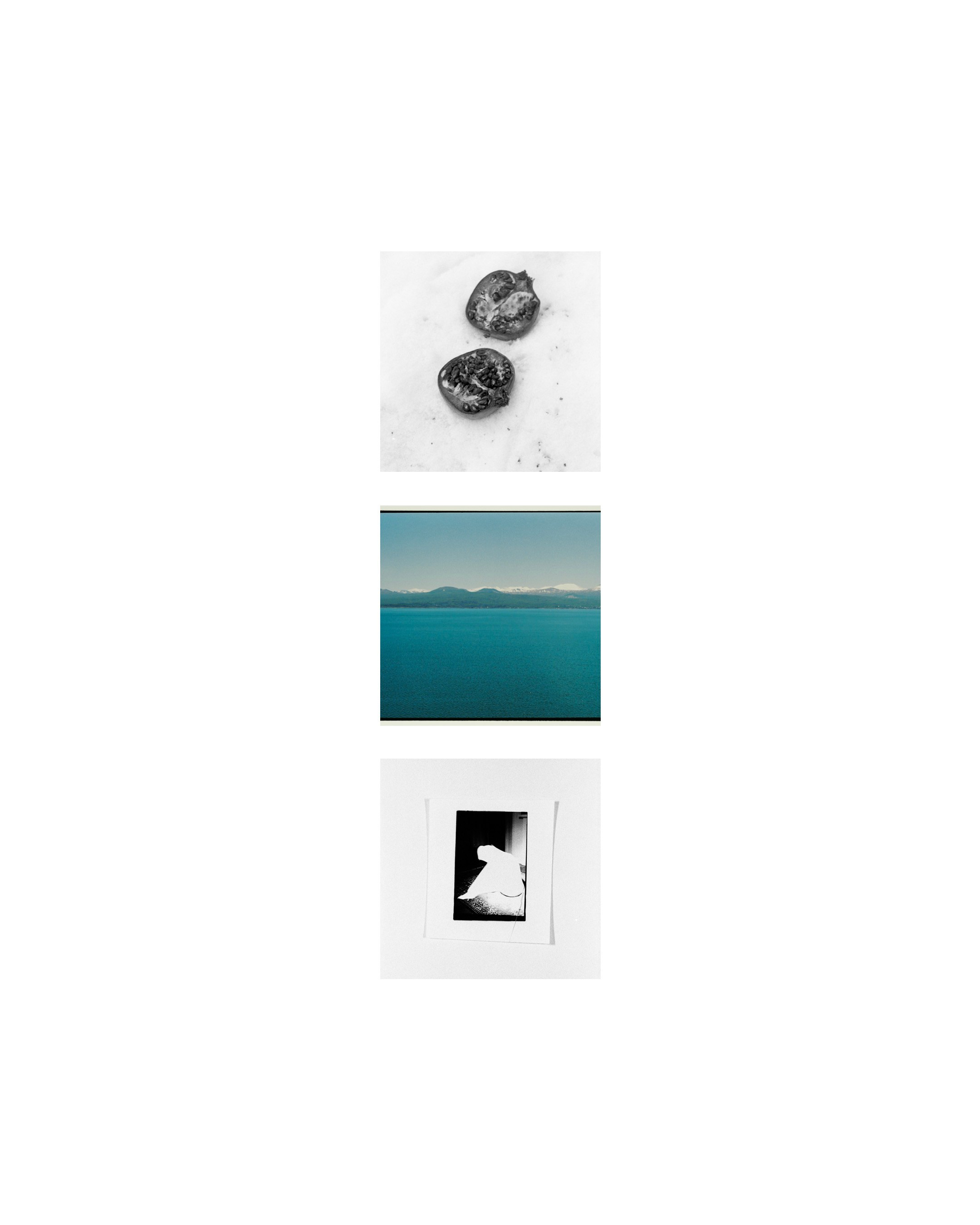 Therapeutic Photography Course: Self-Inquiry with Lens-Based Practices. Lilit Danielyan | Photographer & Videographer