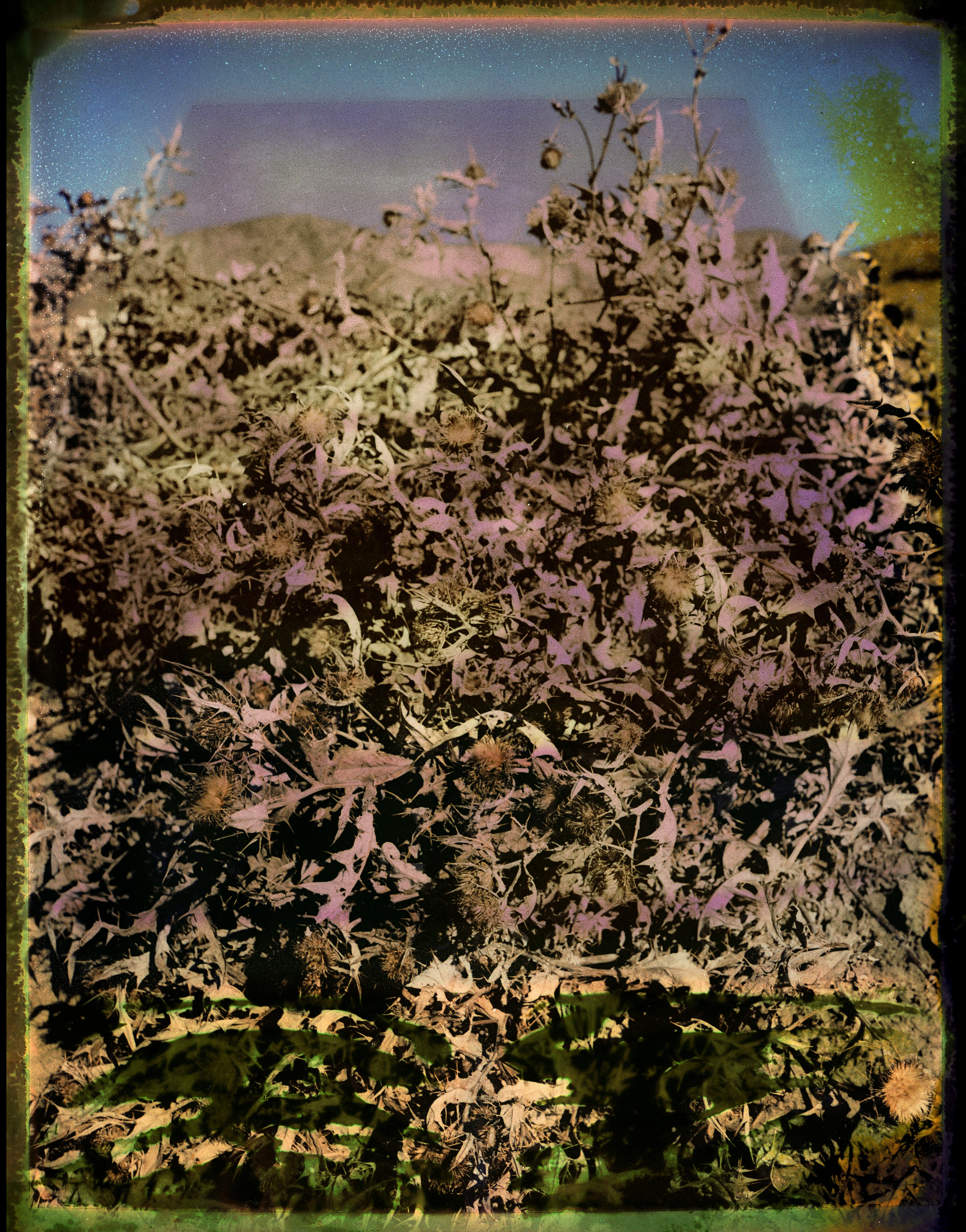 POLAROID. Www.sananaleskerov.com