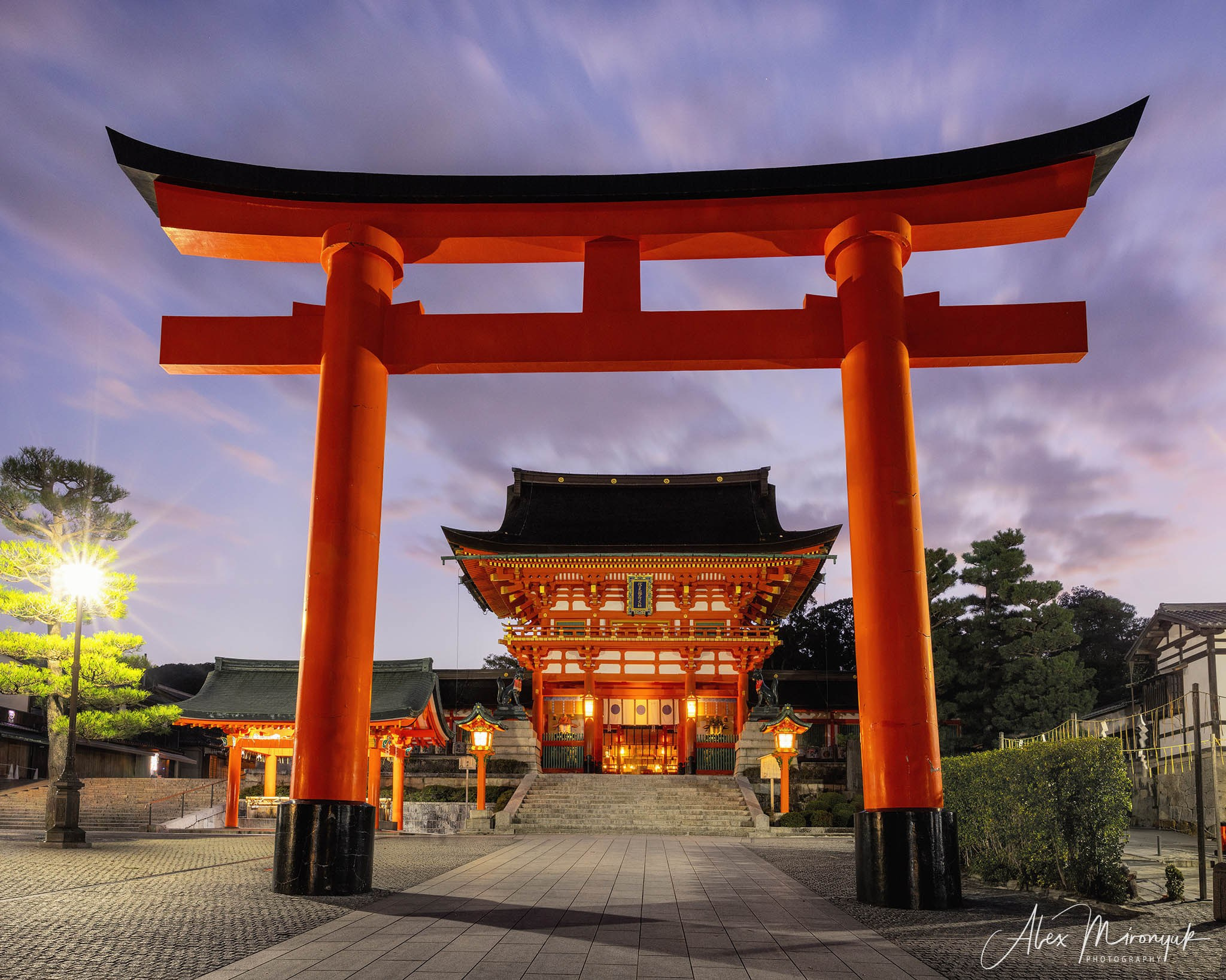 Autumn Colors of Japan. Pet, Senior, Landscape, portrait studio, photographer in Miami and Sou