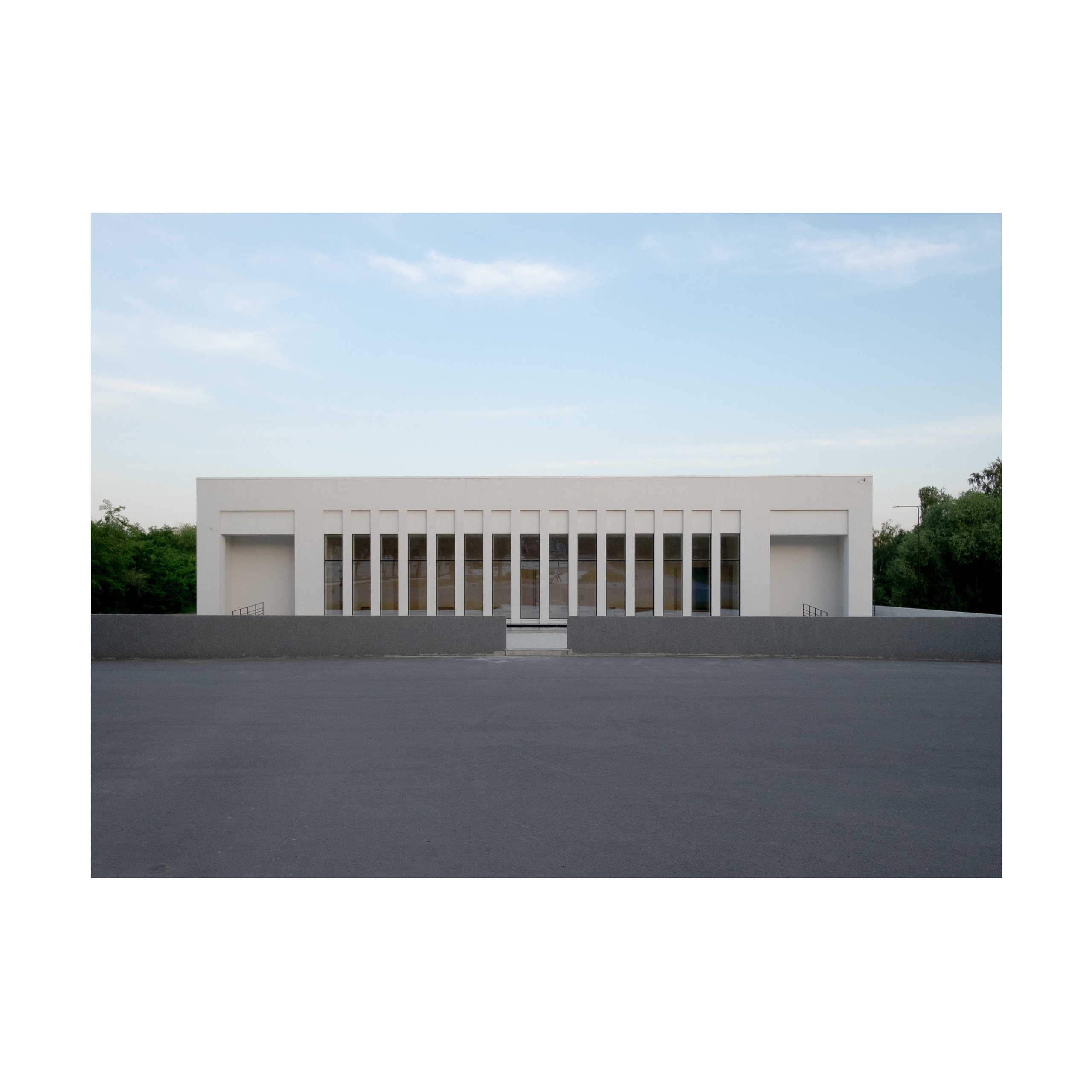 Phoenix. Nelly Elagina