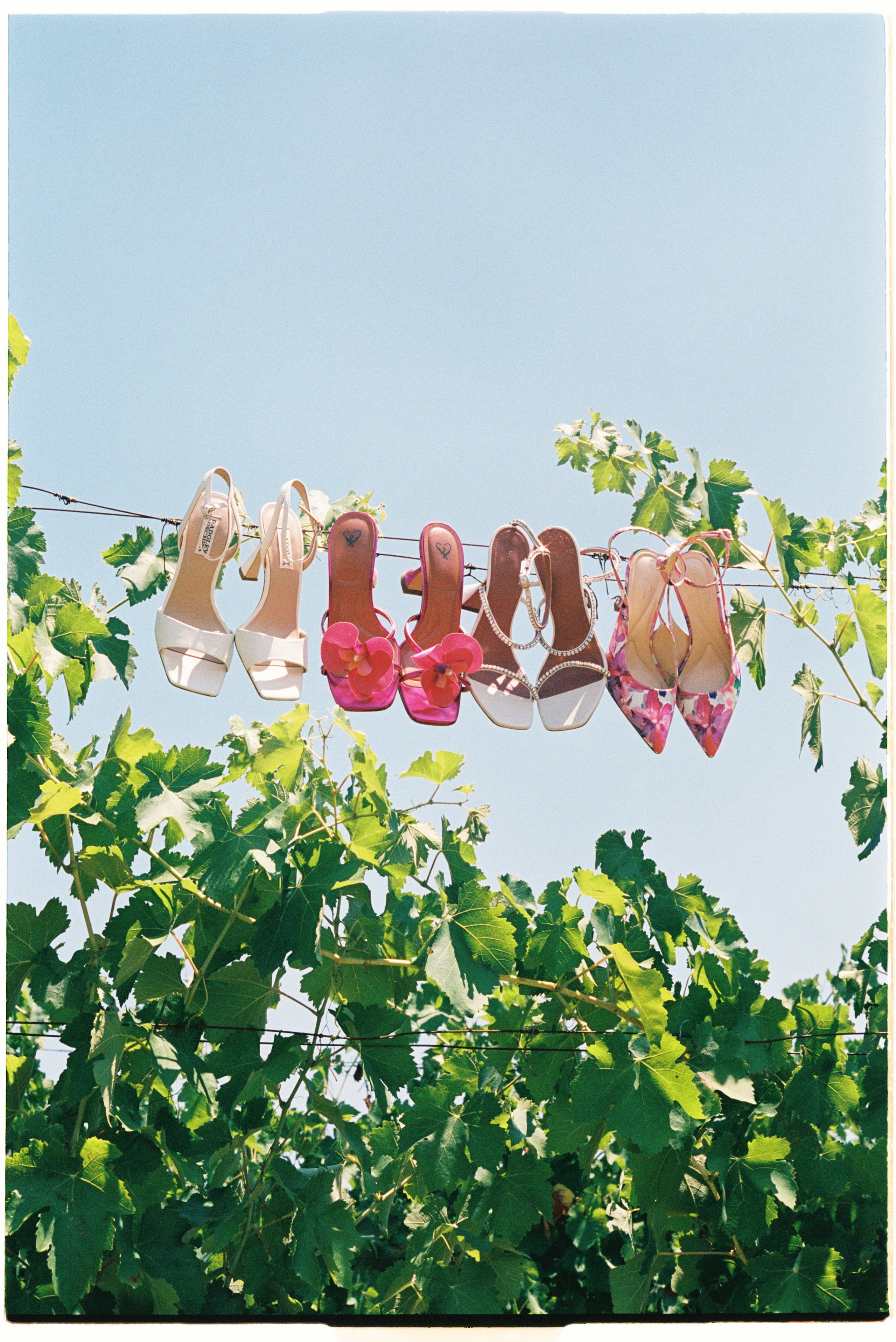 Sara Luca | Digital+Film wedding Photographer | Italy and Europe