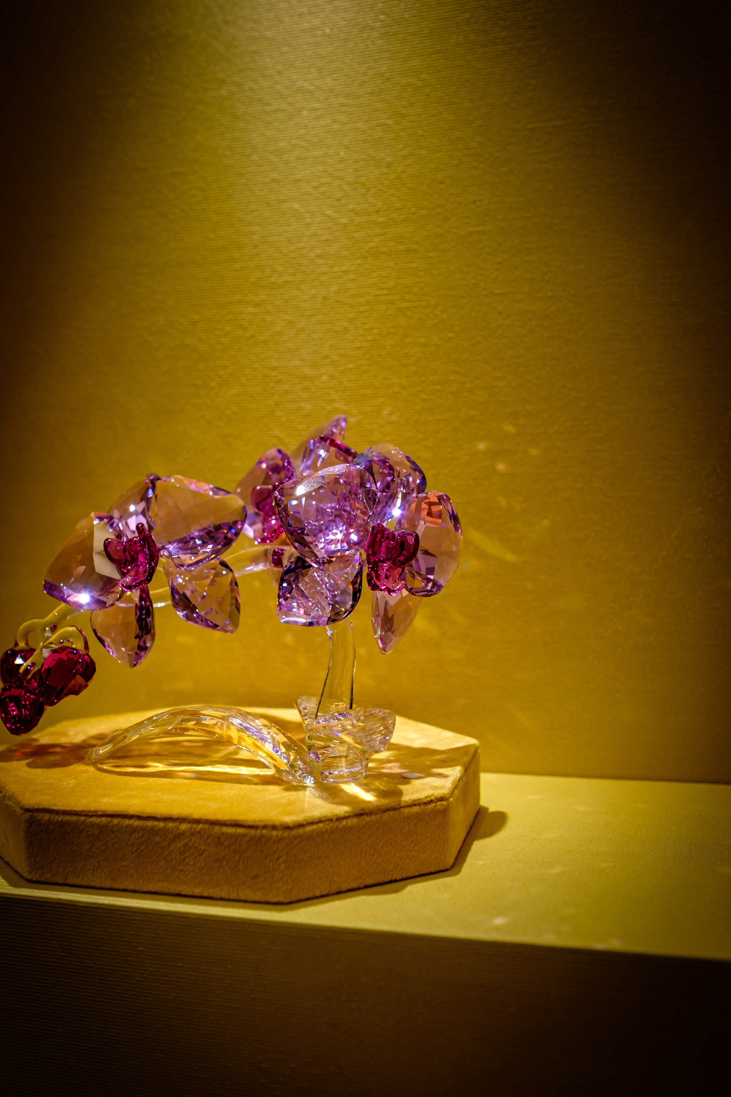 SWAROVSKI. Photographer in Seoul Dobrokvashina Natalya