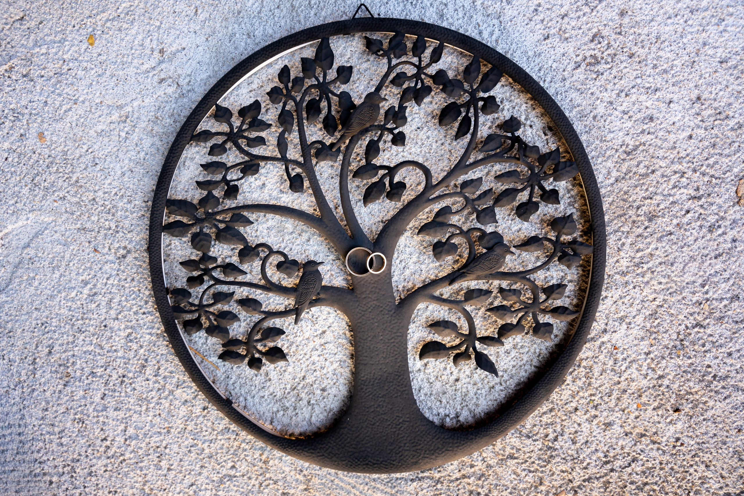 Ana & Mihai. Fotograf evenimente, fotograf nunta, fotograf botez