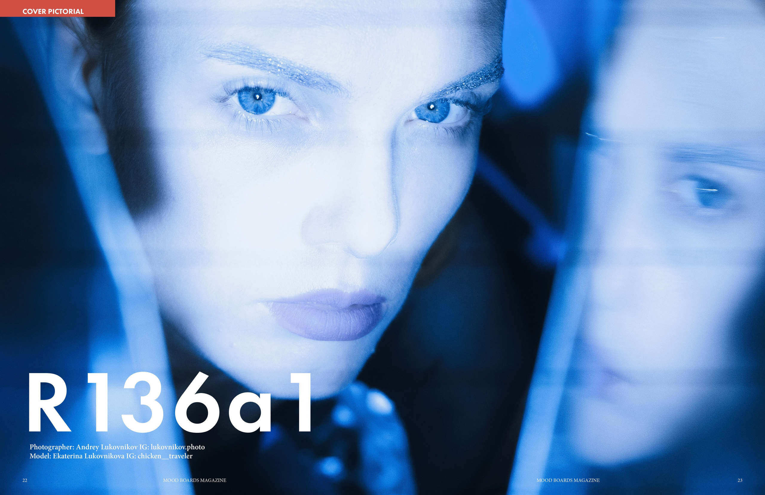 The best publications of the project R136a1