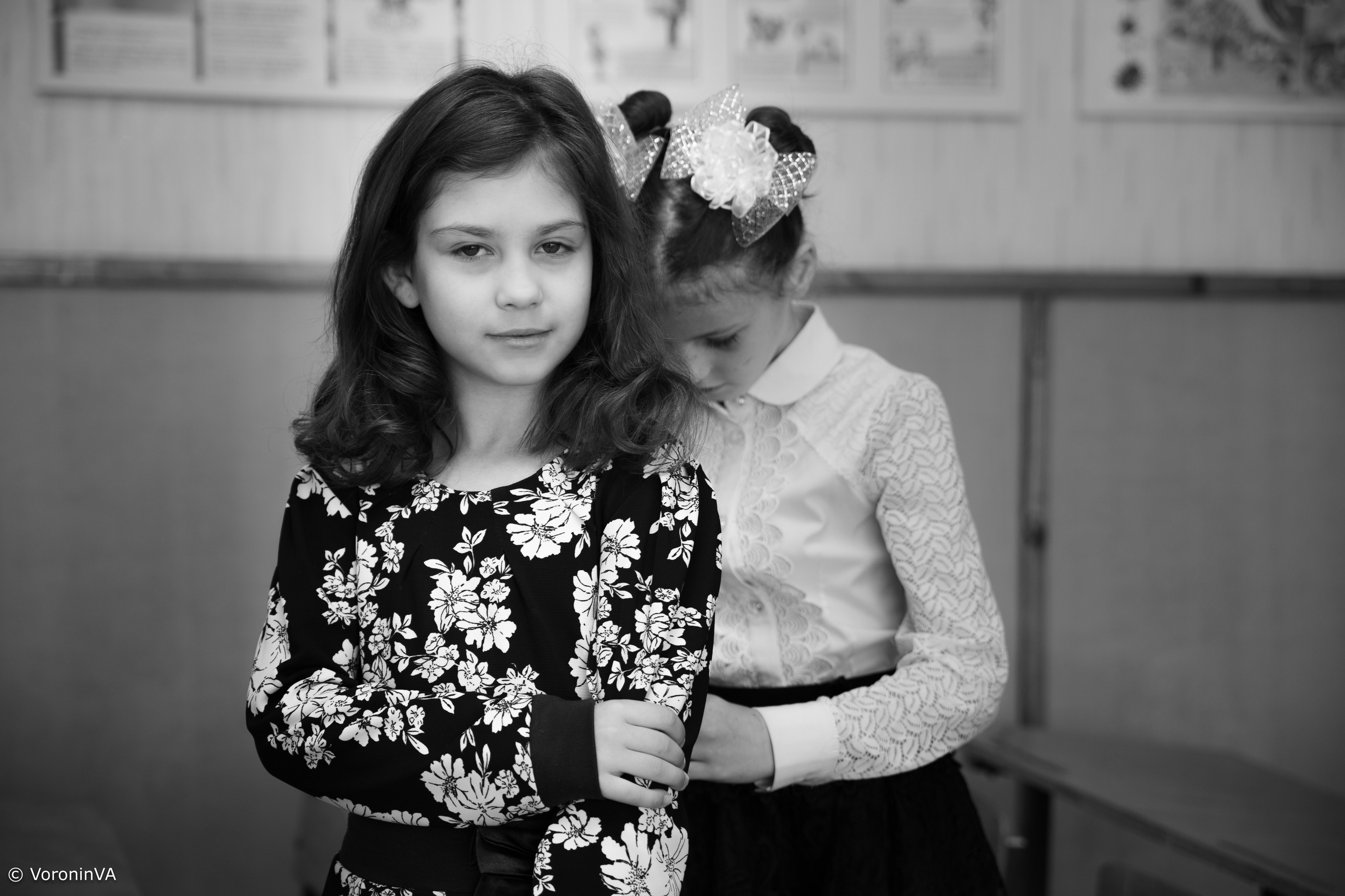 Vladimir Voronin — Walks, Portraits & Premium Prints. Photographer St. Augustine