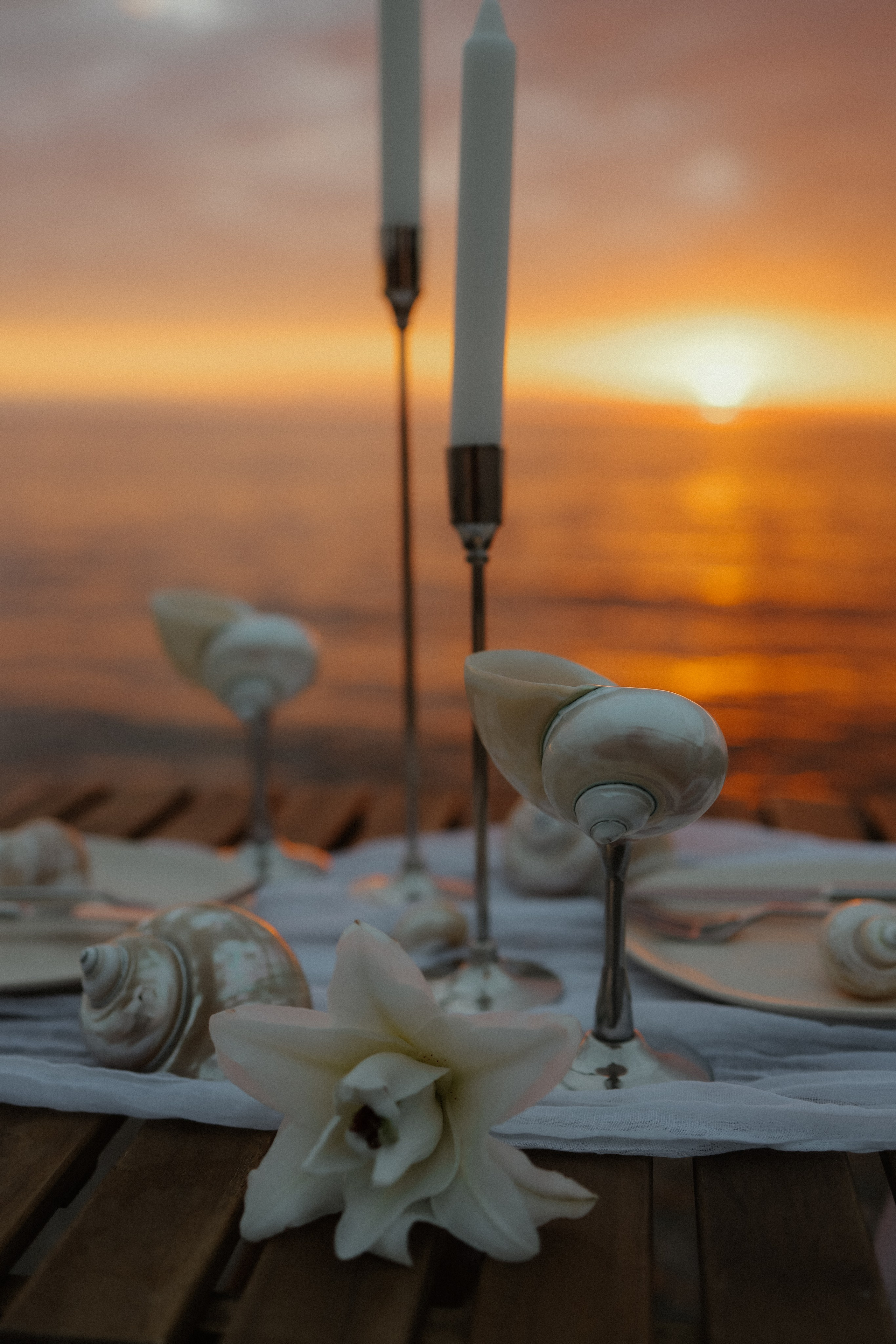 Пикник у моря. Wedding & Event Planner