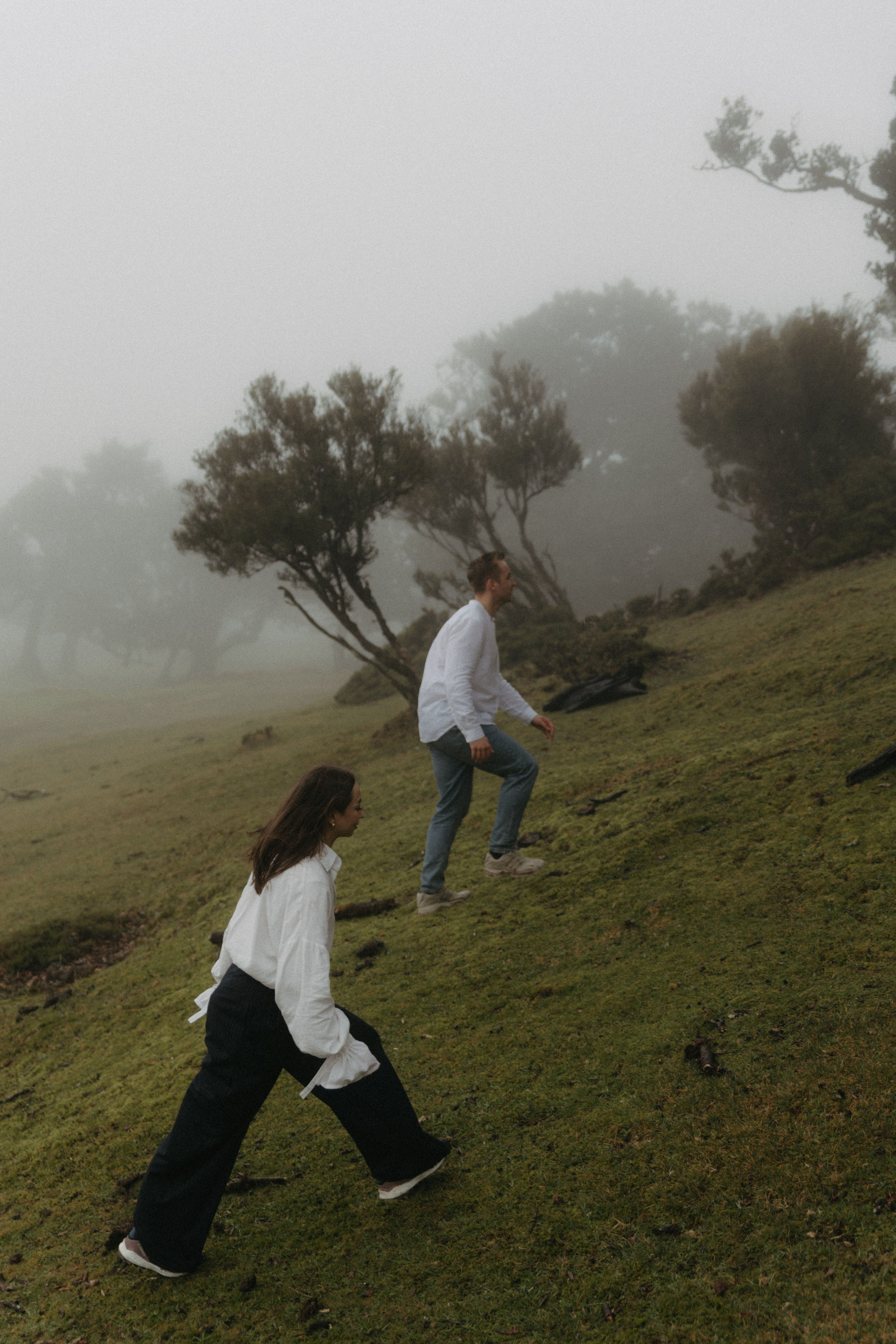 Magic of Fanal Forest. Wedding photographer and videographer based in Timisoara, Romania