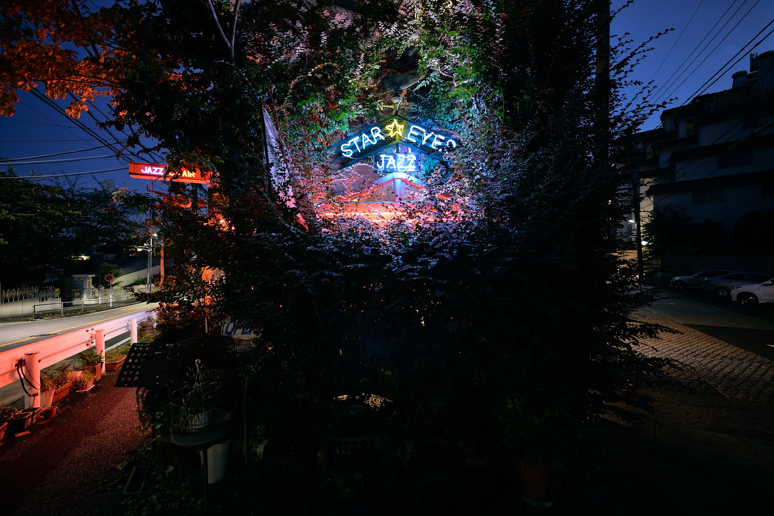 The Music Lovers. MT