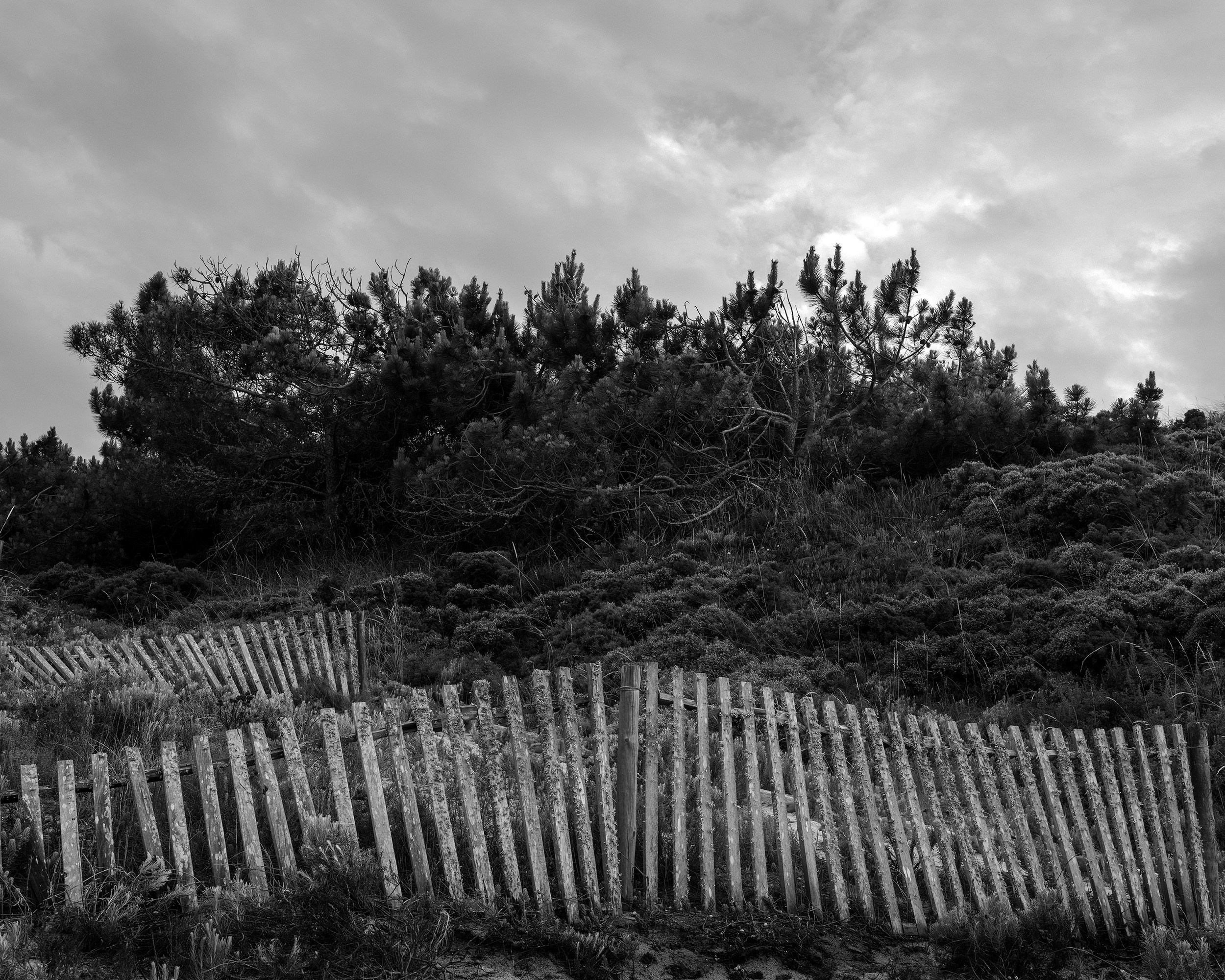 Katya Bogachevskaya — independent curator, lecturer