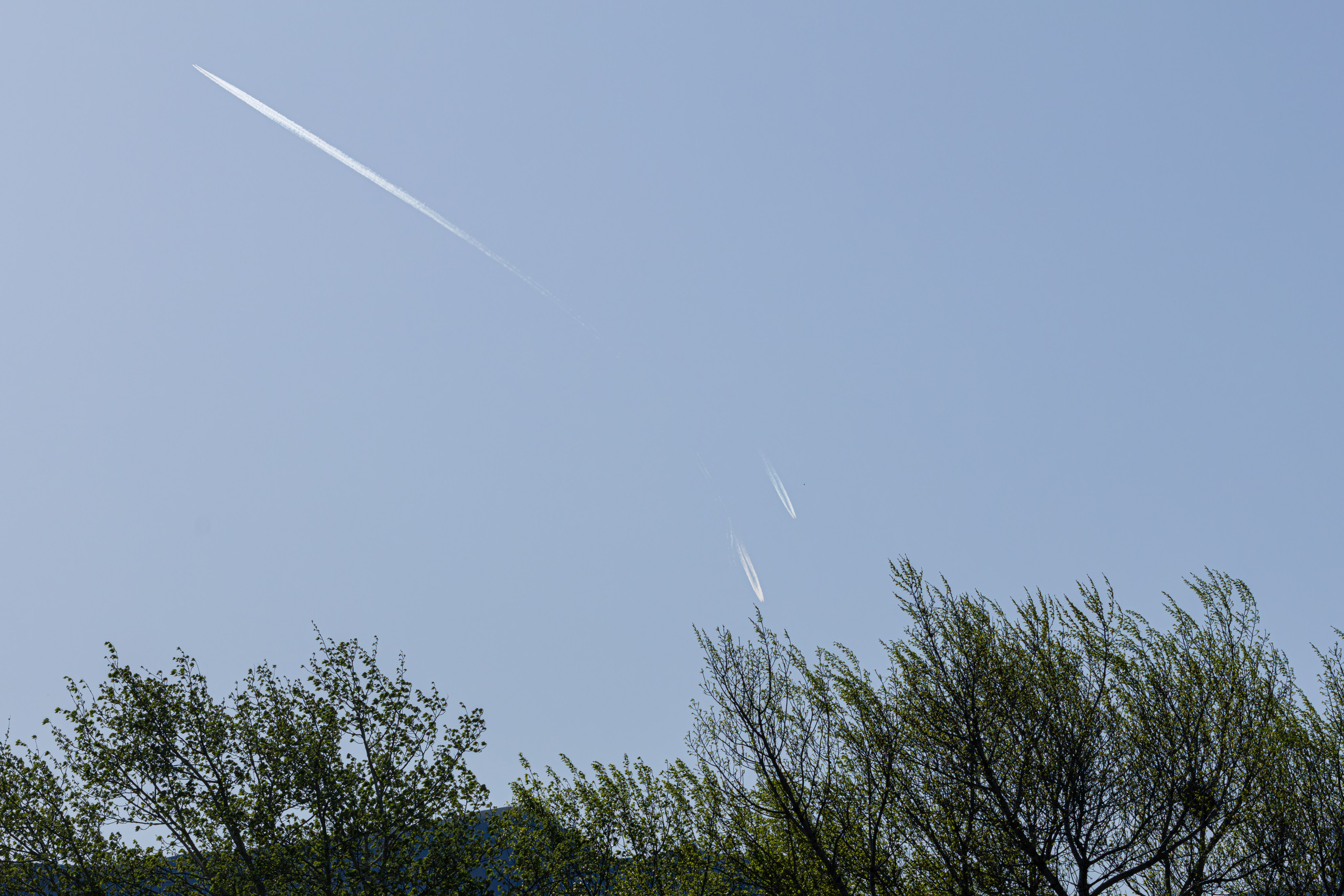 გასეირნება რუსთავის პარკში. FramefreeMan