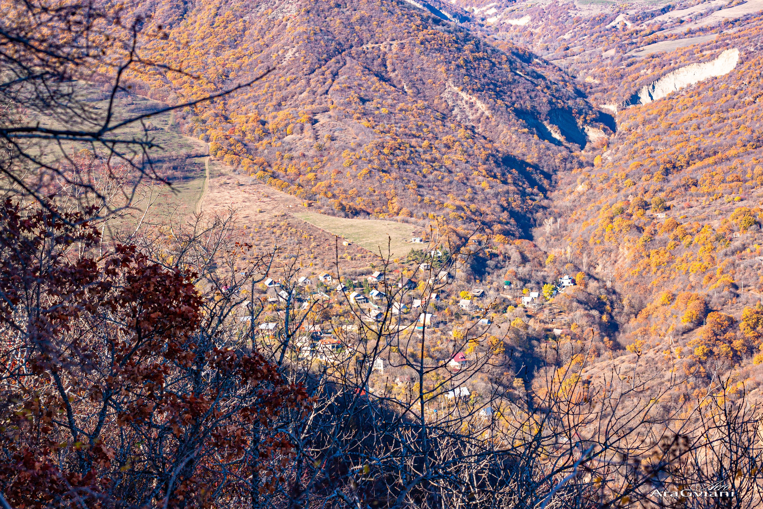 ჰიპოველოს შემოდგომის ველოტური წვერში. FramefreeMan