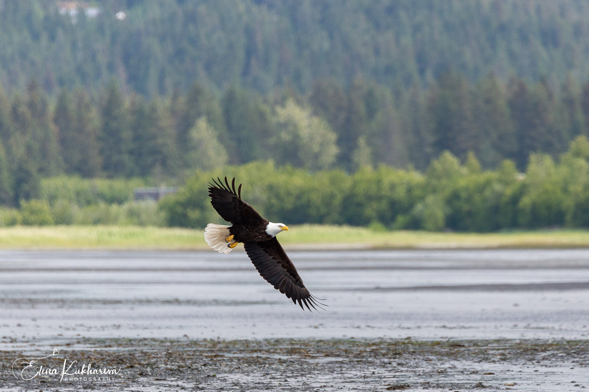 Unknown Alaska. Alex Mironyuk Photography