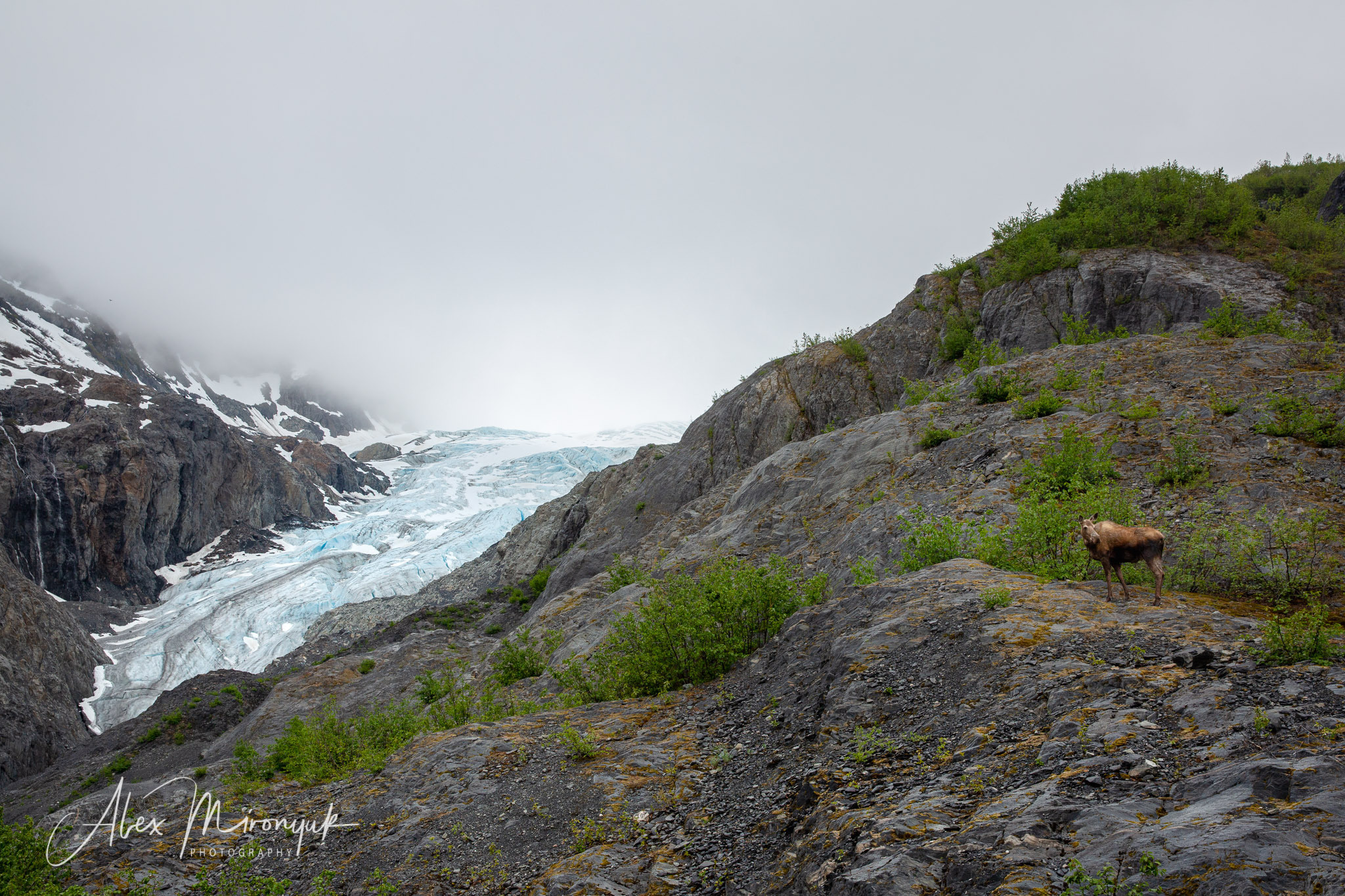 Unknown Alaska. Alex Mironyuk Photography
