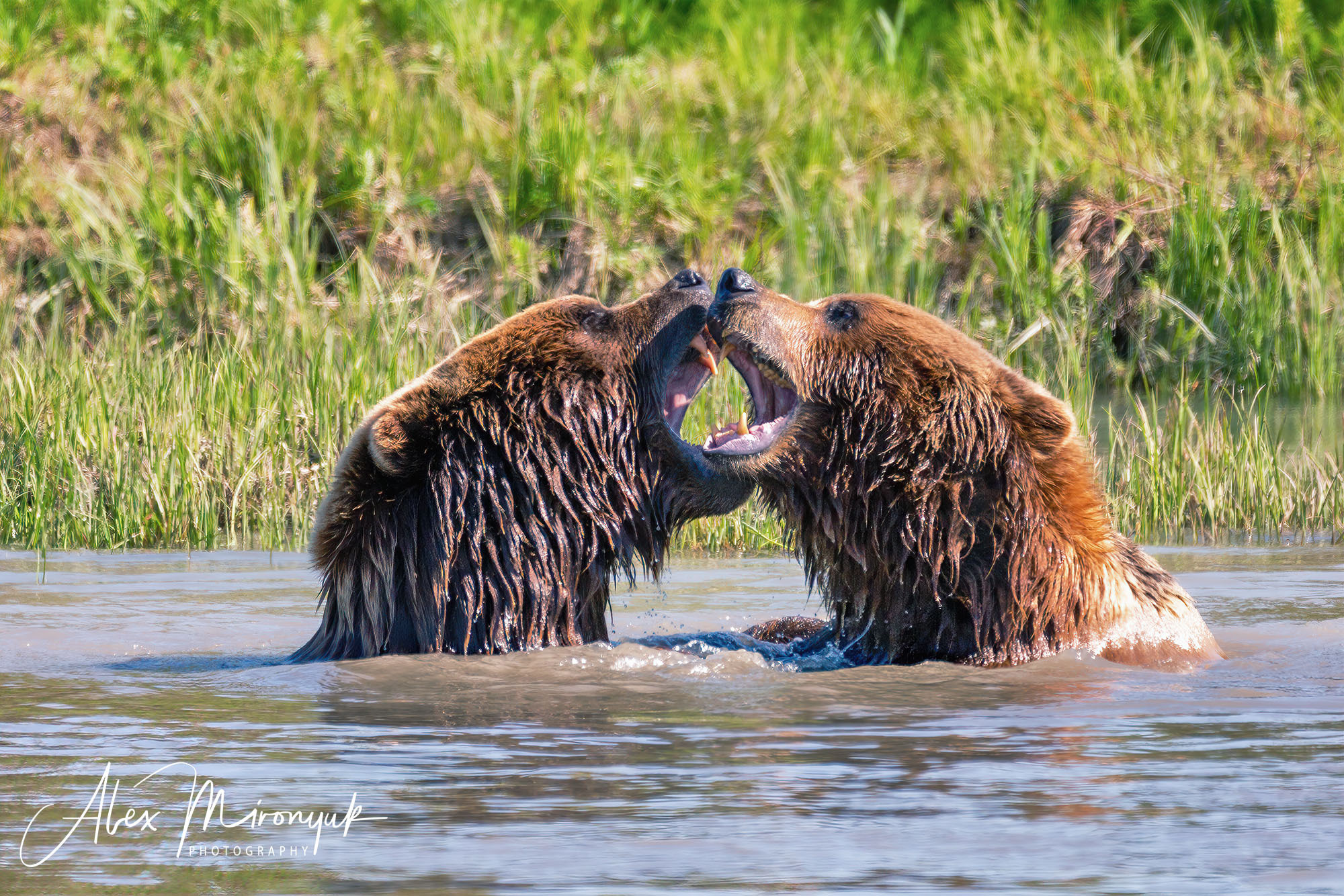 Unknown Alaska. Alex Mironyuk Photography
