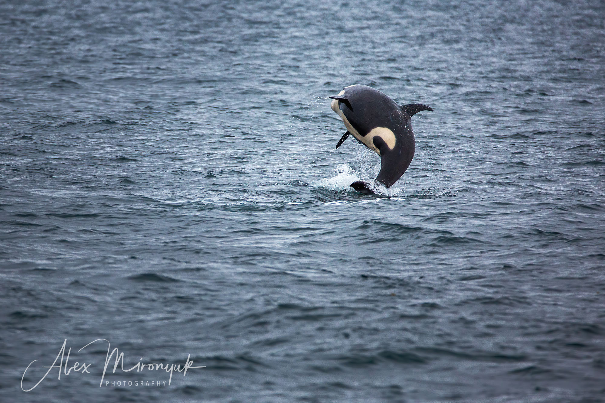 Unknown Alaska. Alex Mironyuk Photography