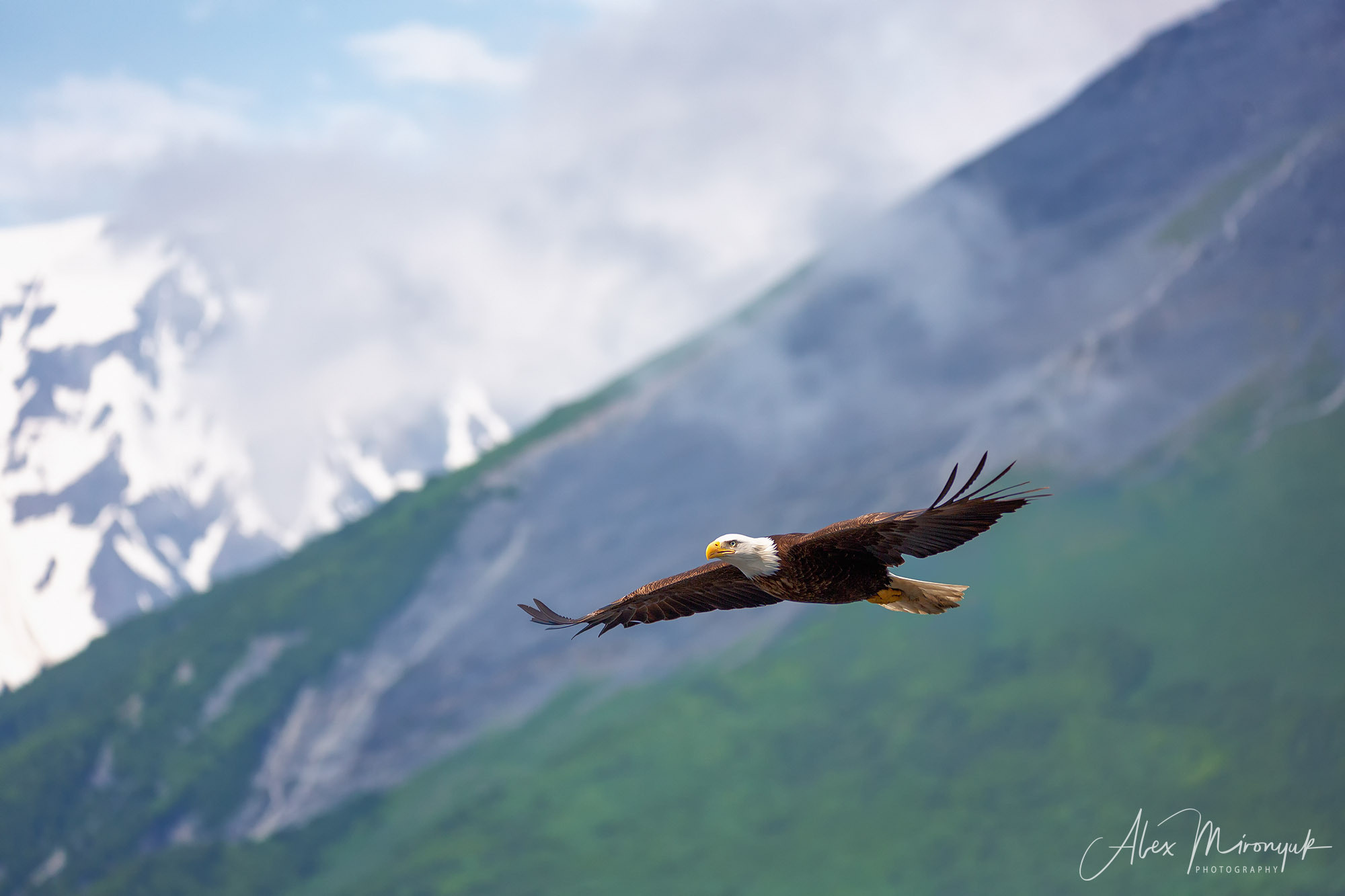 Unknown Alaska. Alex Mironyuk Photography