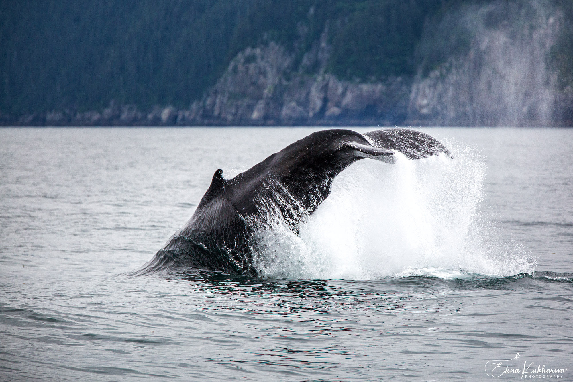 Unknown Alaska. Alex Mironyuk Photography