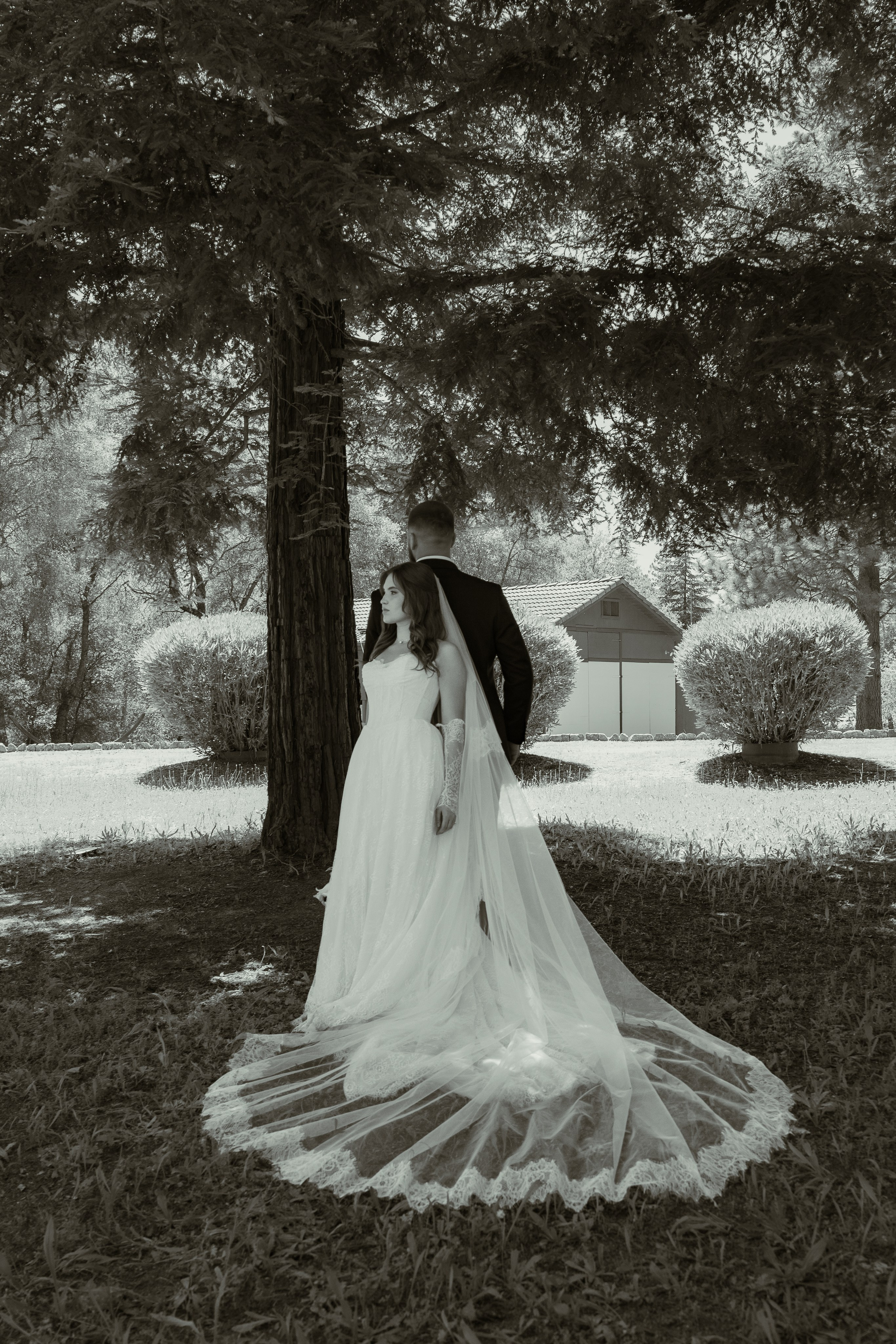 Bay Area & Northern California Wedding Videography & Photography | Spasskii Studio