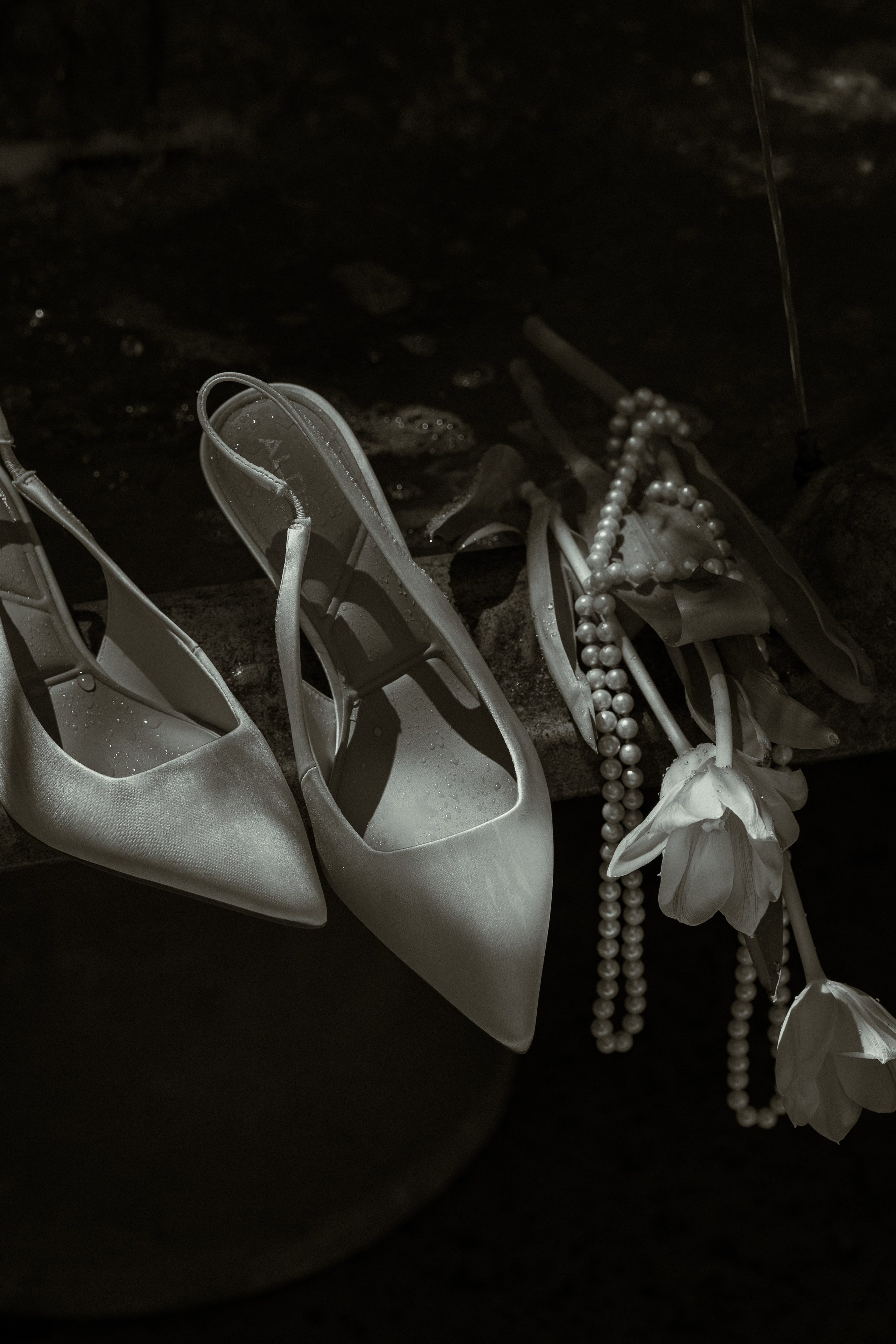 PHOTOGRAPHY. Bay Area & Northern California Wedding Videography & Photography | Spasskii Studio