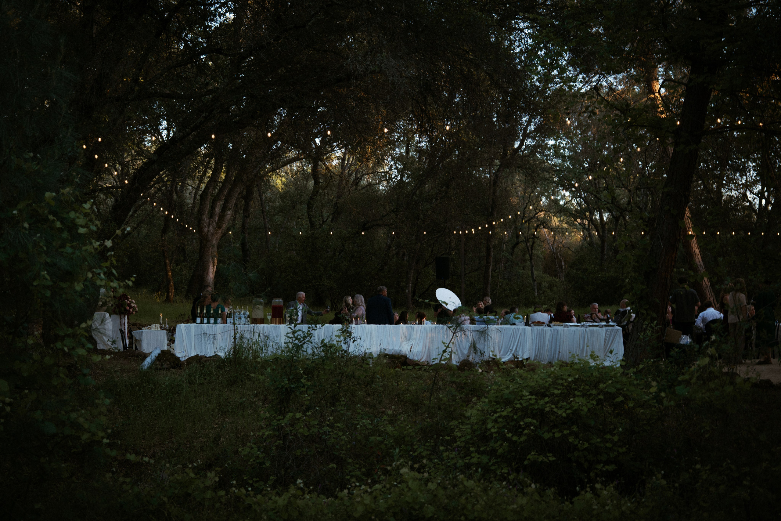 PHOTOGRAPHY. Bay Area & Northern California Wedding Videography & Photography | Spasskii Studio