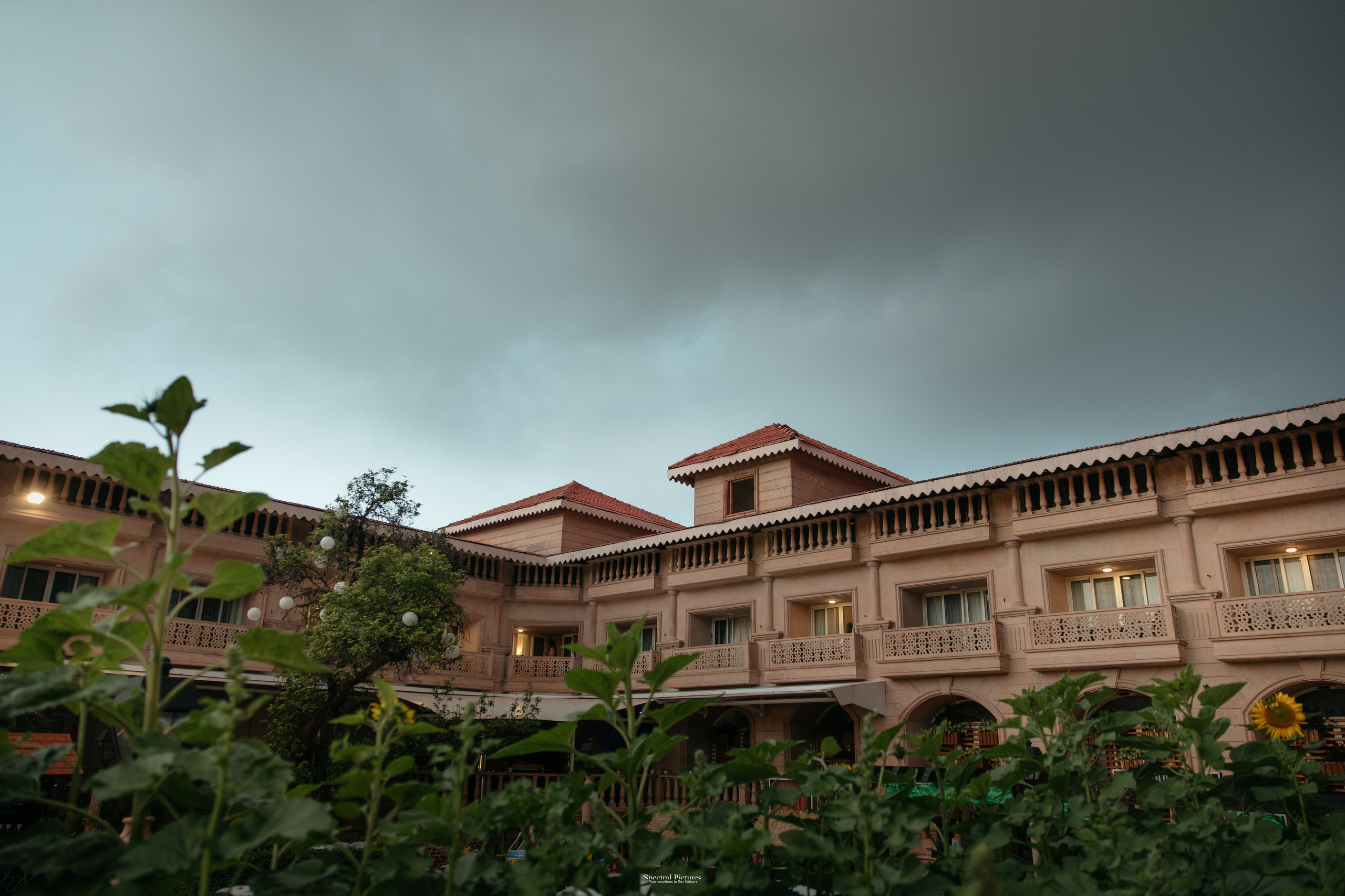 #THEPURALOVESTORY is a journey of two hearts growing in sync, across seasons, challenges, and memories