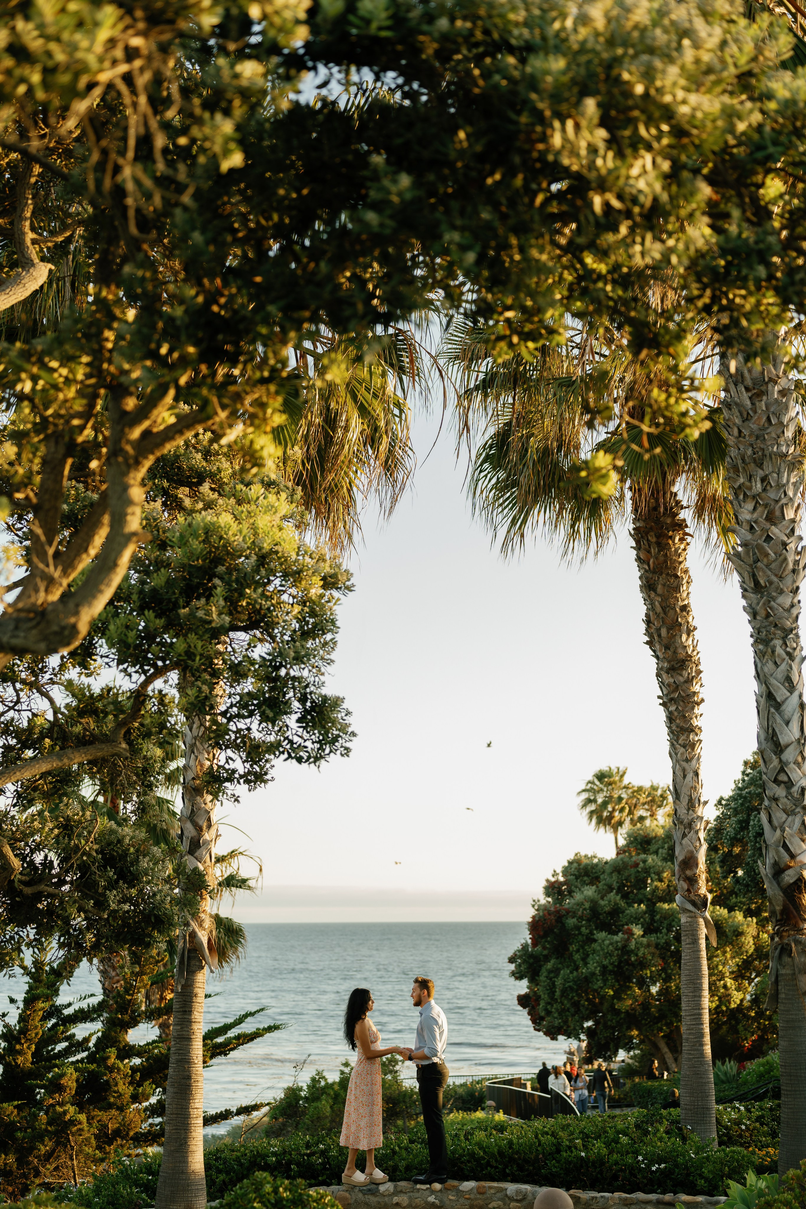 Proposals California. Wedding Photography & Videography Team in California, Los Angeles, San Francisco, San Diego and Travel