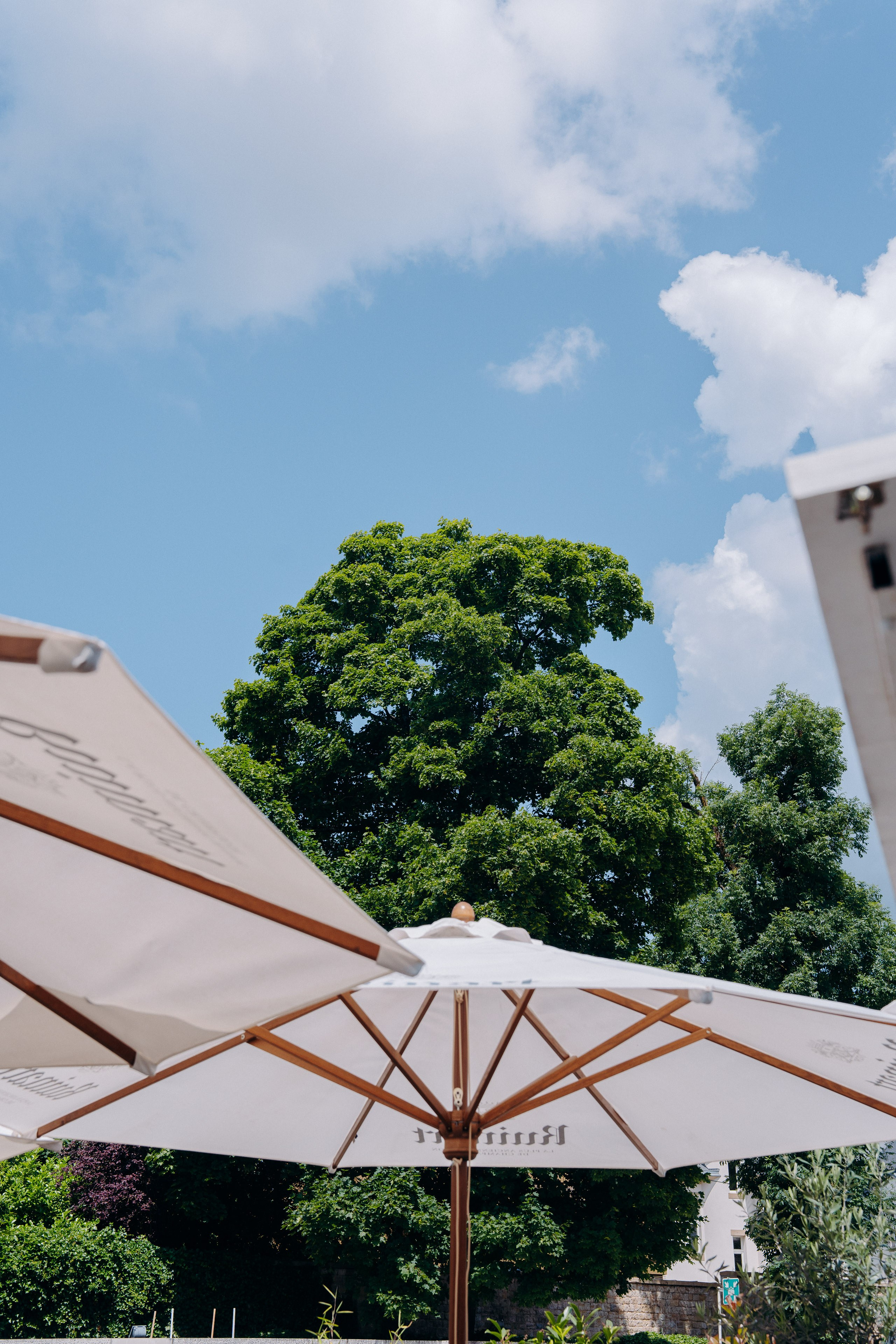 Schuman. Контент-фотограф Алина Филимонова